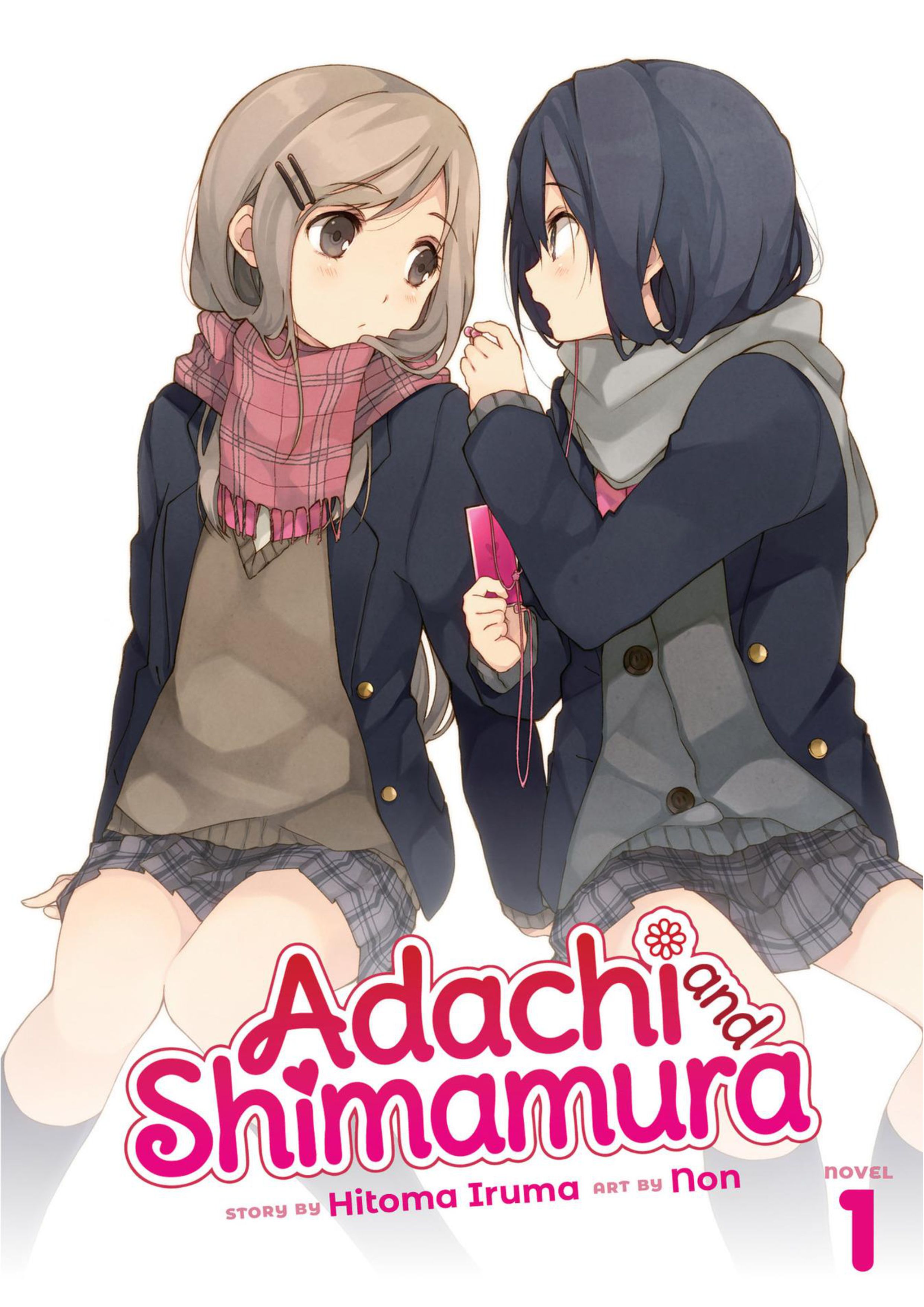 Adachi to Shimamura V1 Illustration - Megumi Novel