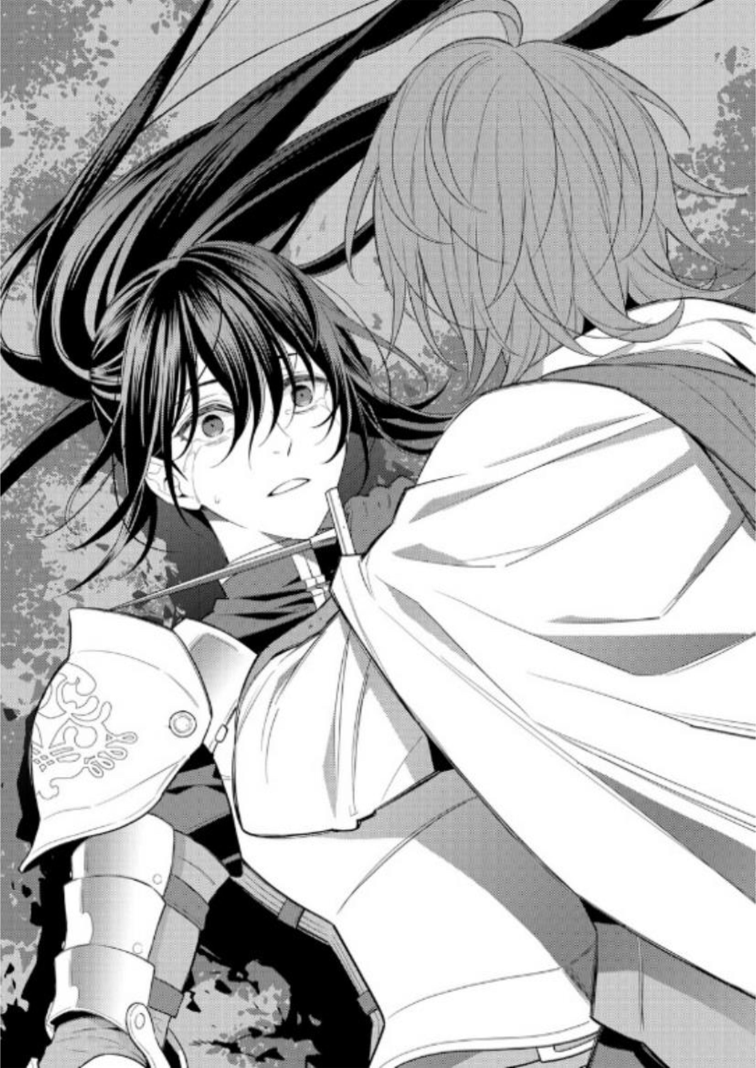 Akuyaku Tensei Dakedo Doushite Kou Natta V3 Illustration - Megumi Novel