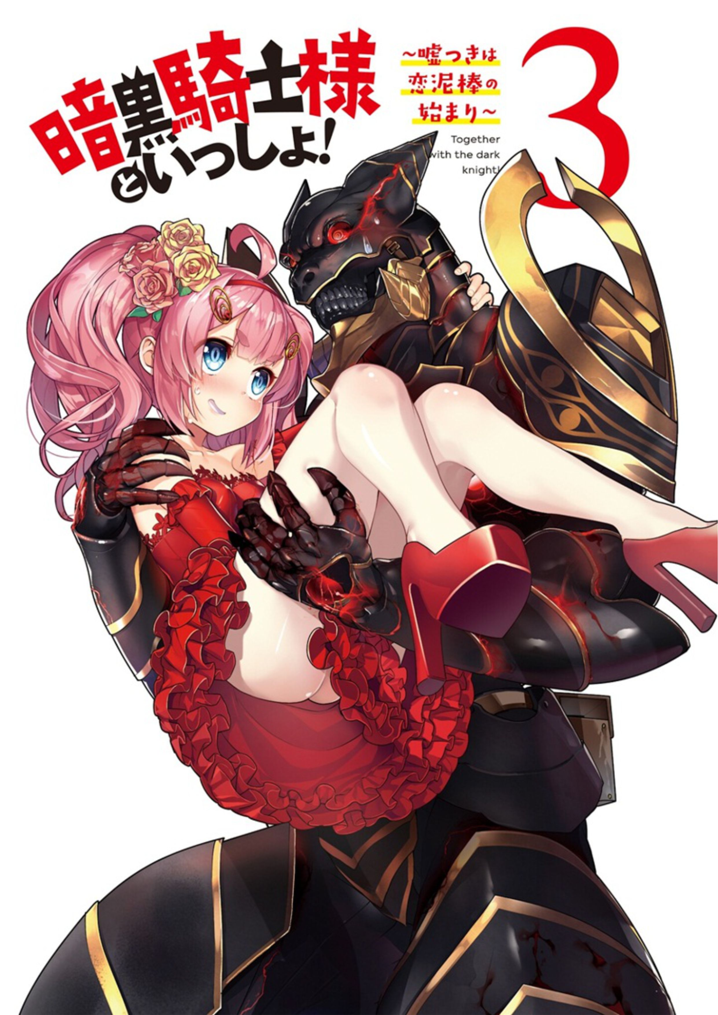 Ankoku Kishi to Issho! V3 Illustration - Megumi Novel