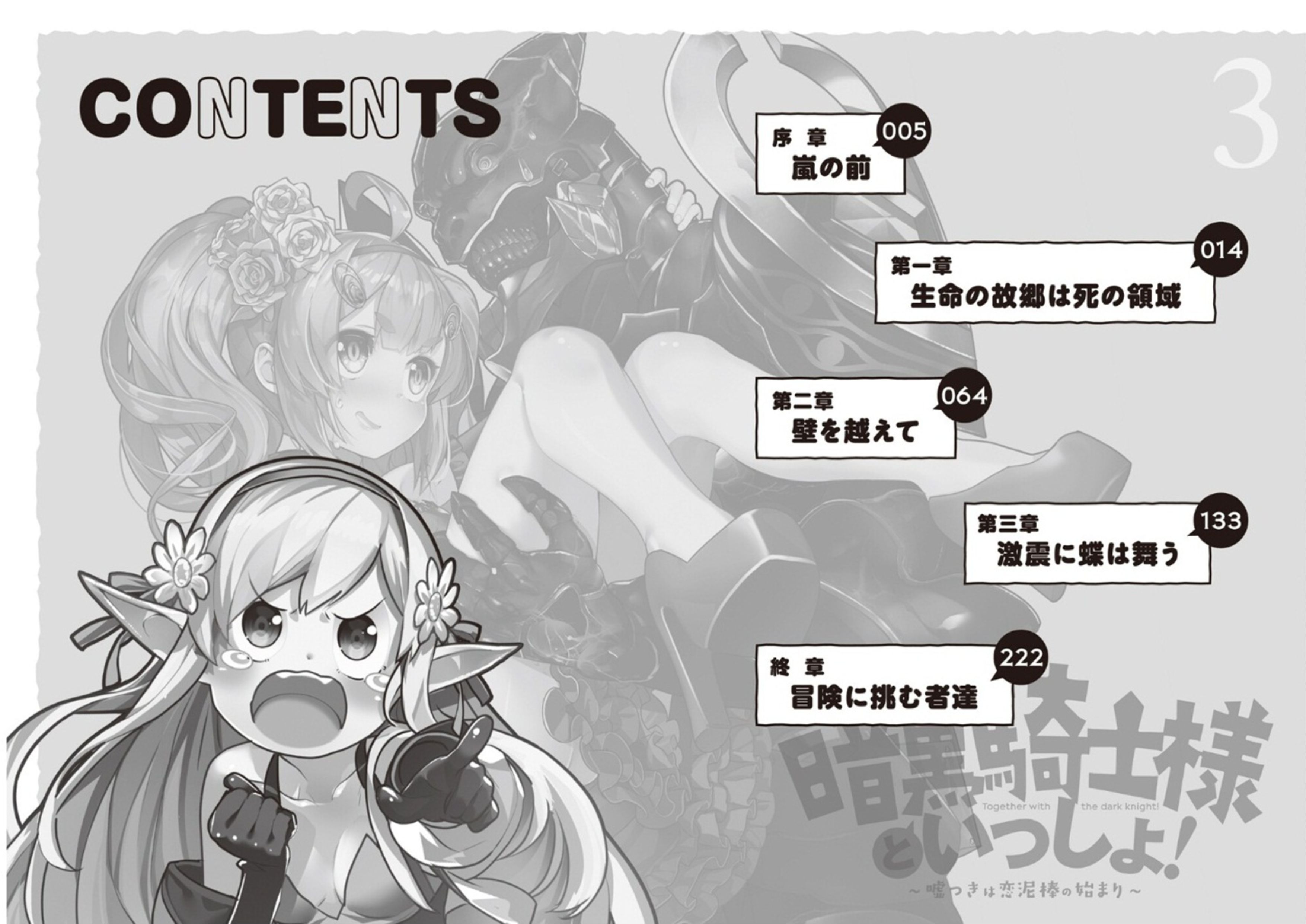 Ankoku Kishi to Issho! V3 Illustration - Megumi Novel