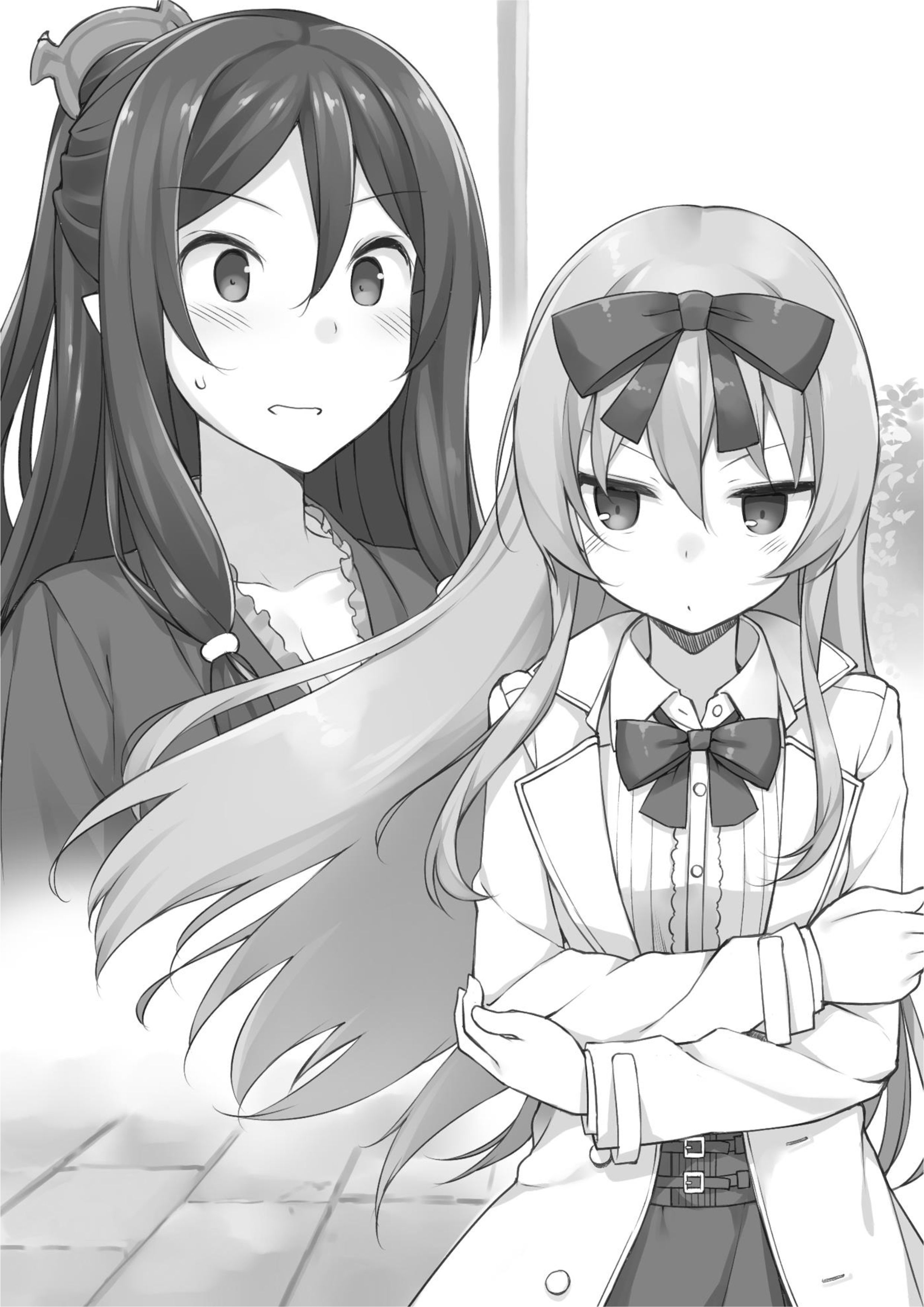 Arifureta Shokugyou de Sekai Saikyou V4 Illustration - Megumi Novel