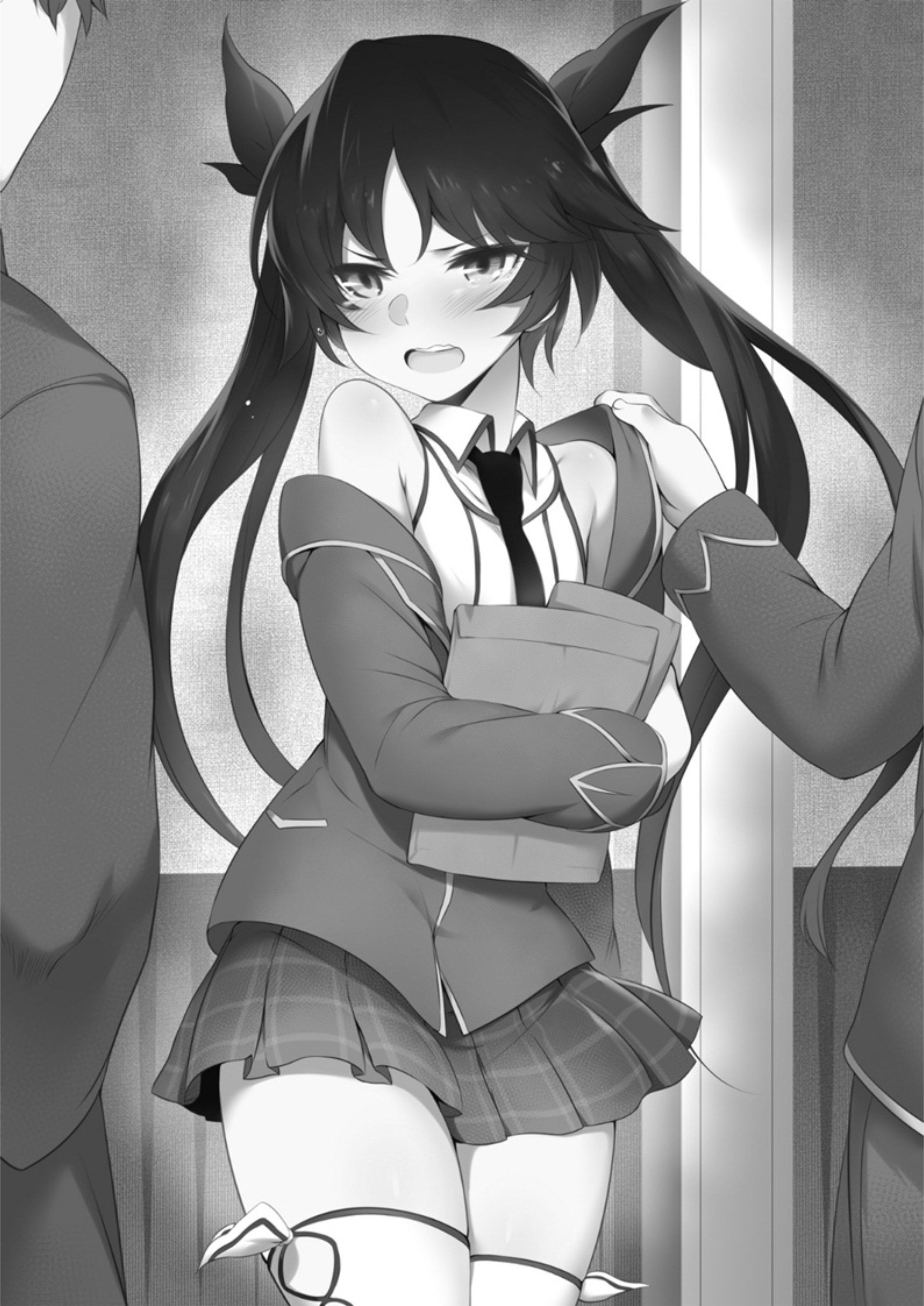 Atelier Tanaka V6 Illustration - Megumi Novel