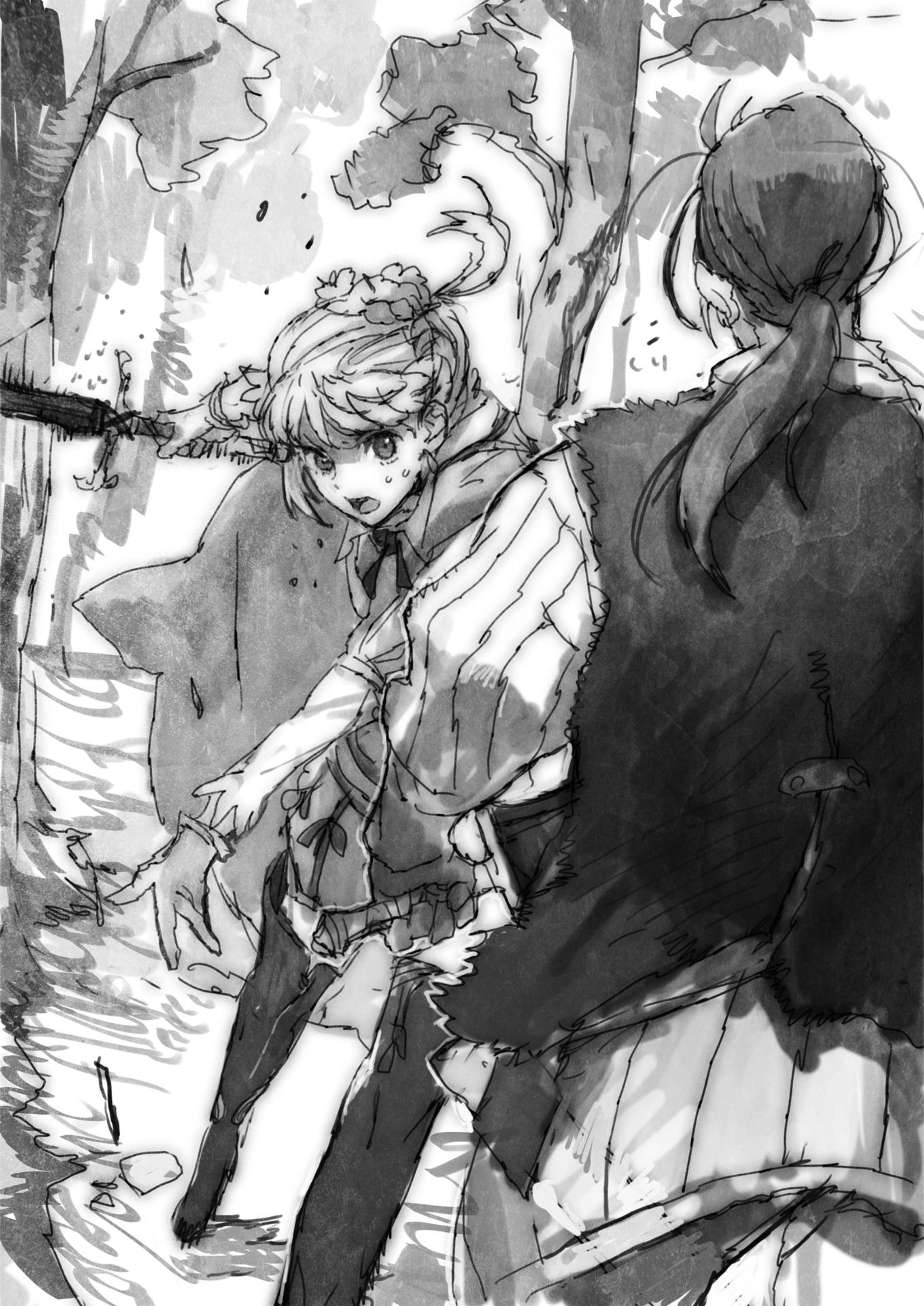Boukensha ni Naritai to Miyako ni Deteitta Musume ga S Rank ni Natteta V1 Illustration - Megumi Novel