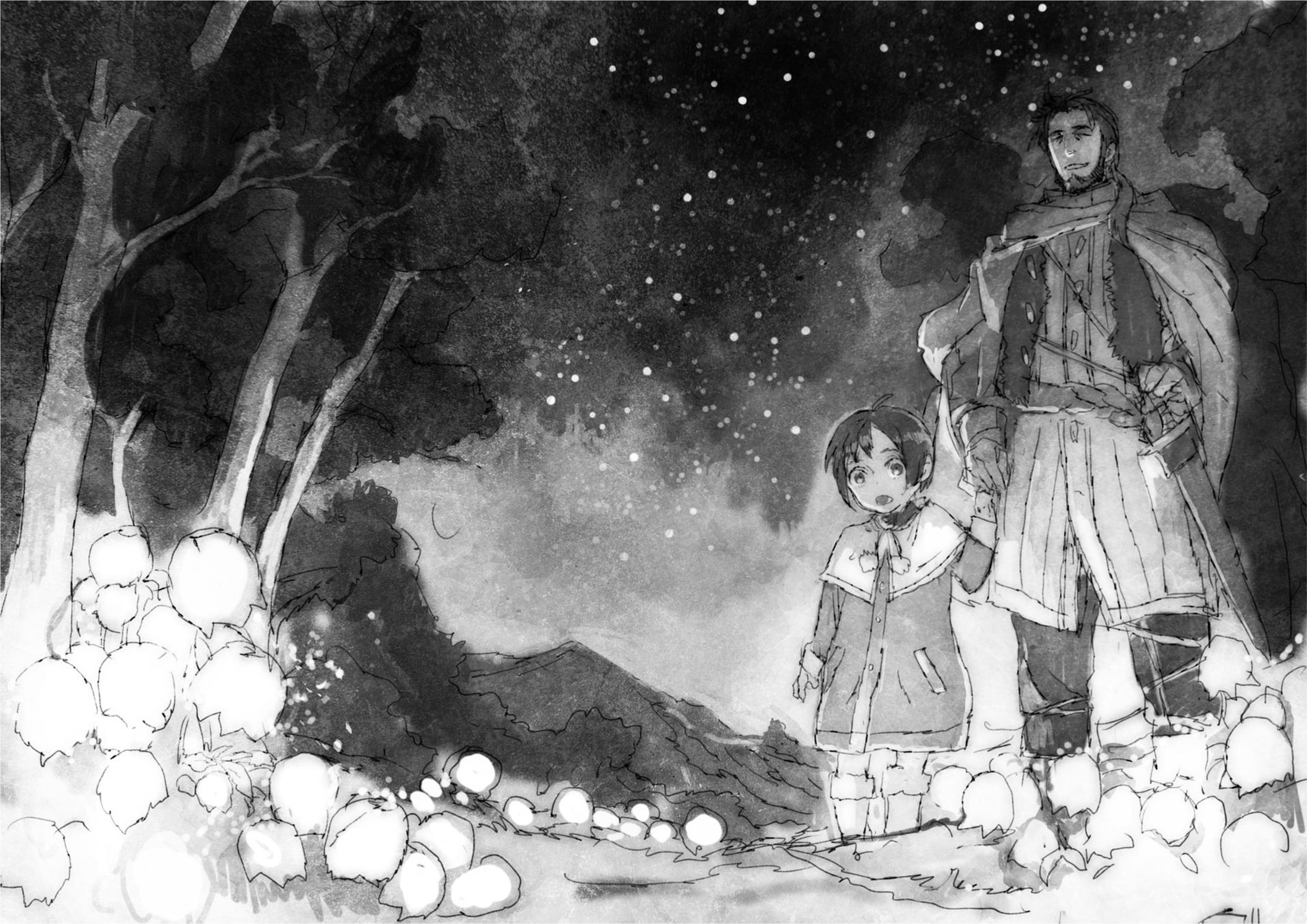 Boukensha ni Naritai to Miyako ni Deteitta Musume ga S Rank ni Natteta V1 Illustration - Megumi Novel