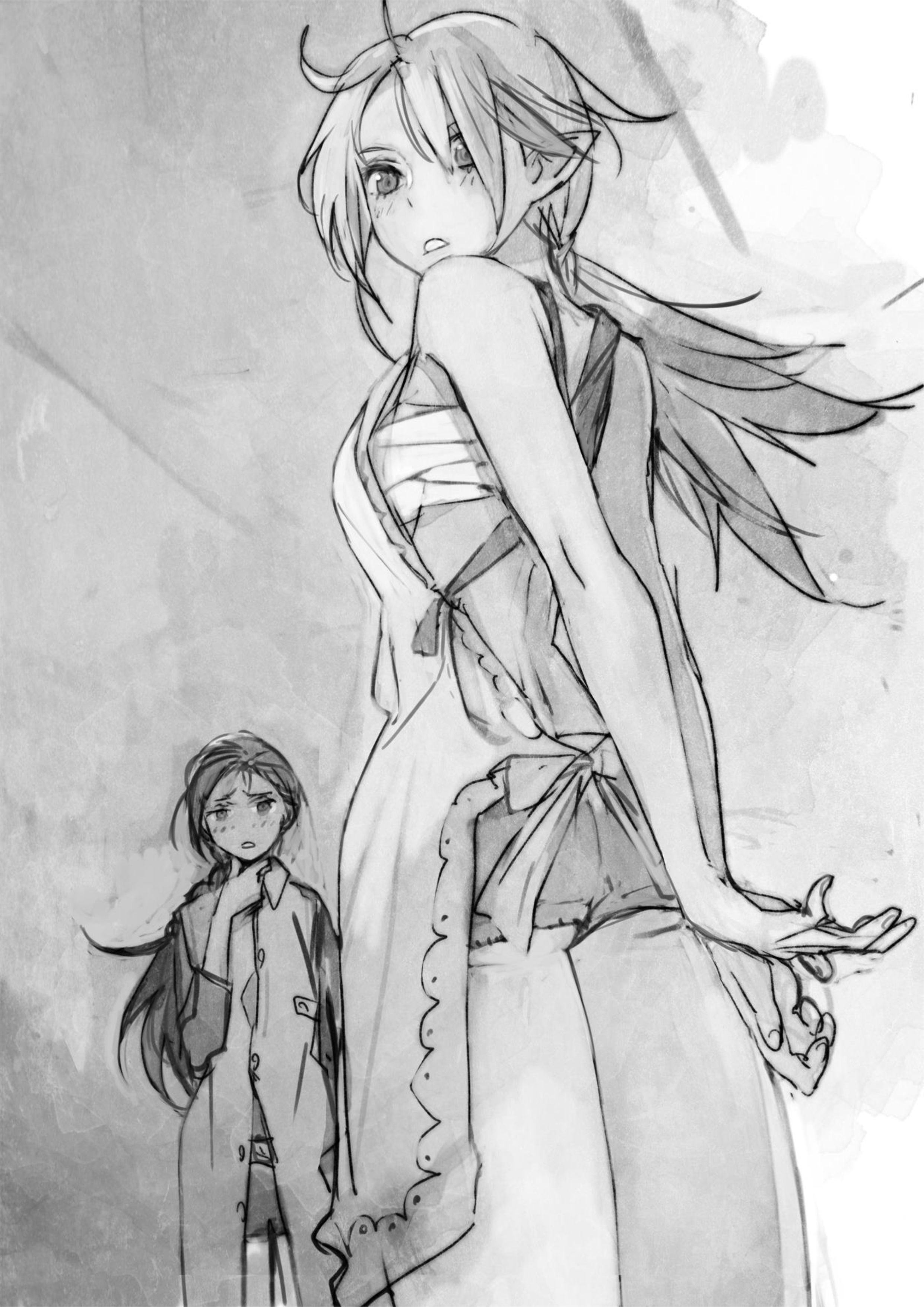 Boukensha ni Naritai to Miyako ni Deteitta Musume ga S Rank ni Natteta V5 Illustration - Megumi Novel