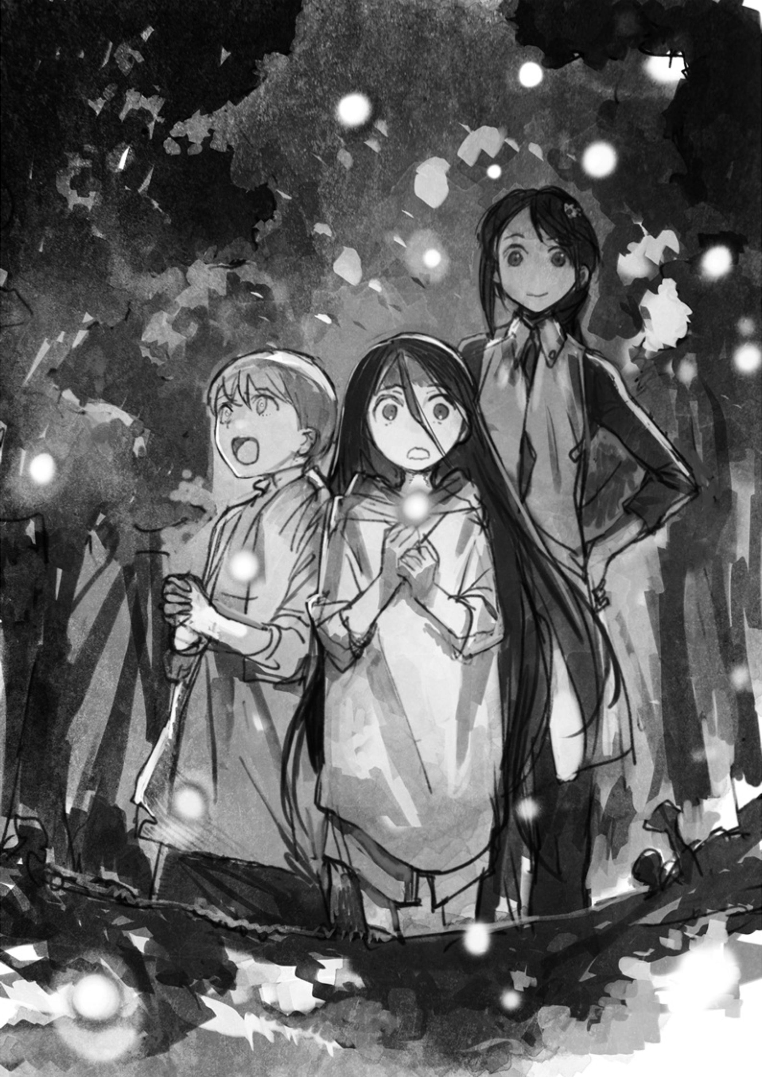 Boukensha ni Naritai to Miyako ni Deteitta Musume ga S Rank ni Natteta V6 Illustration - Megumi Novel