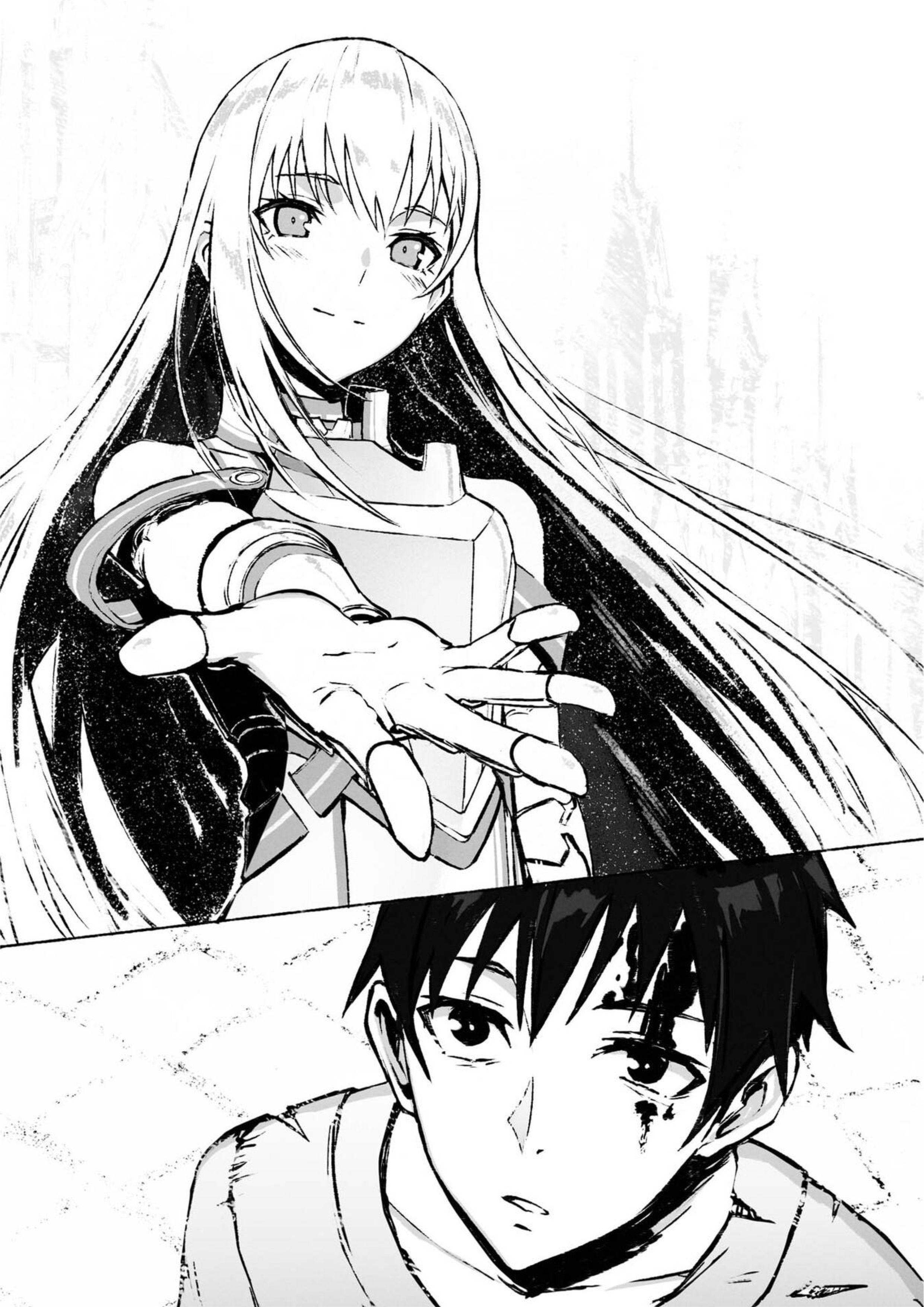 Boushoku no Berserk V1 Official Illustration - Megumi Novel