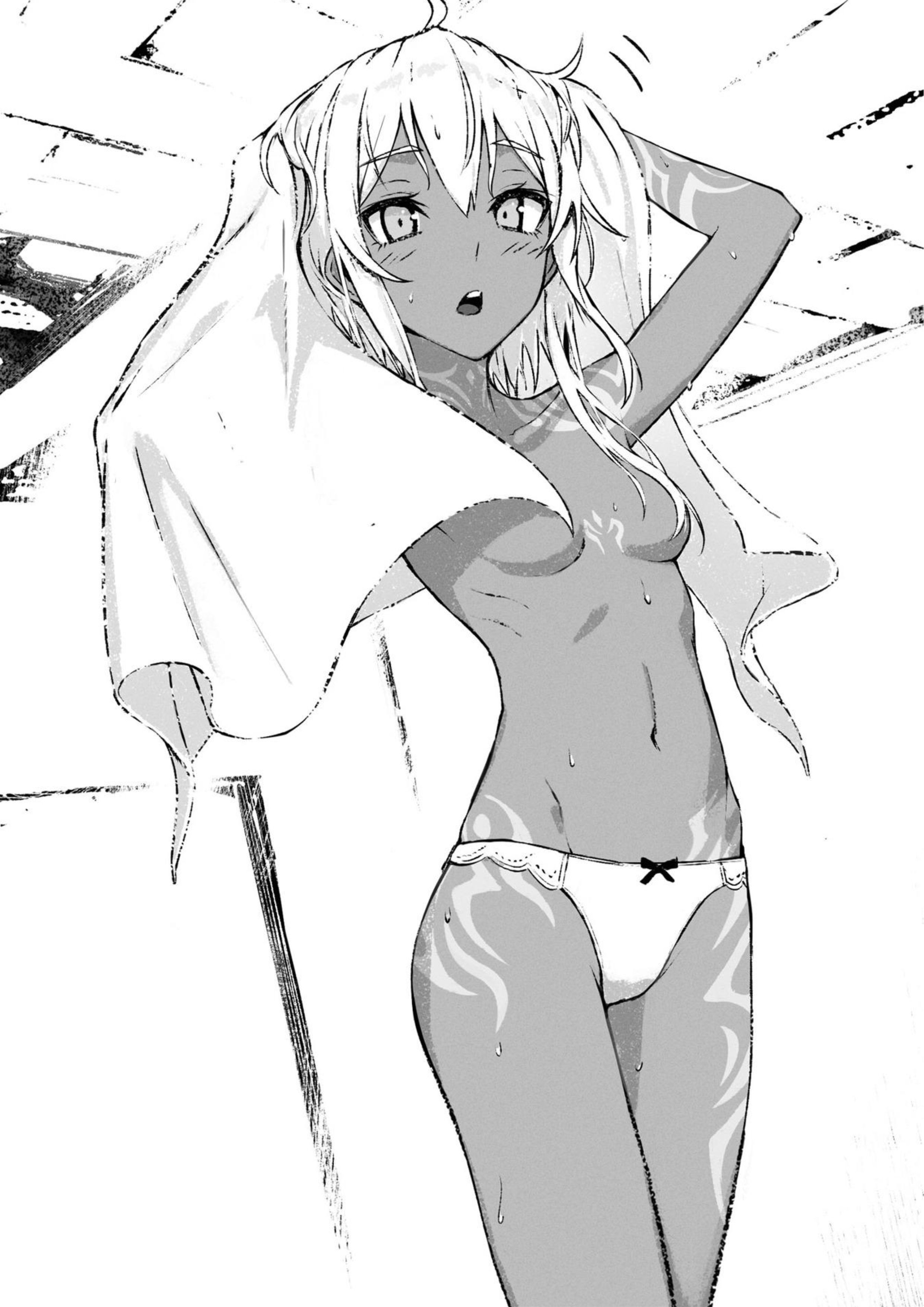 Boushoku no Berserk V2 Official Illustration - Megumi Novel