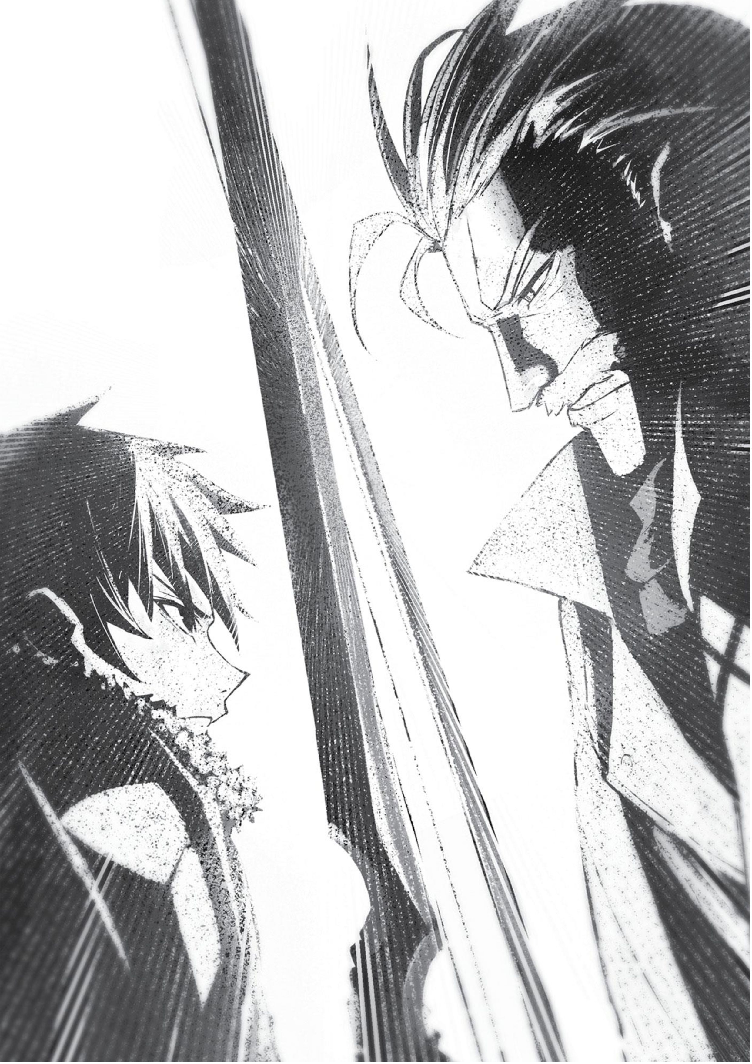 Boushoku no Berserk V5 Official Illustration - Megumi Novel