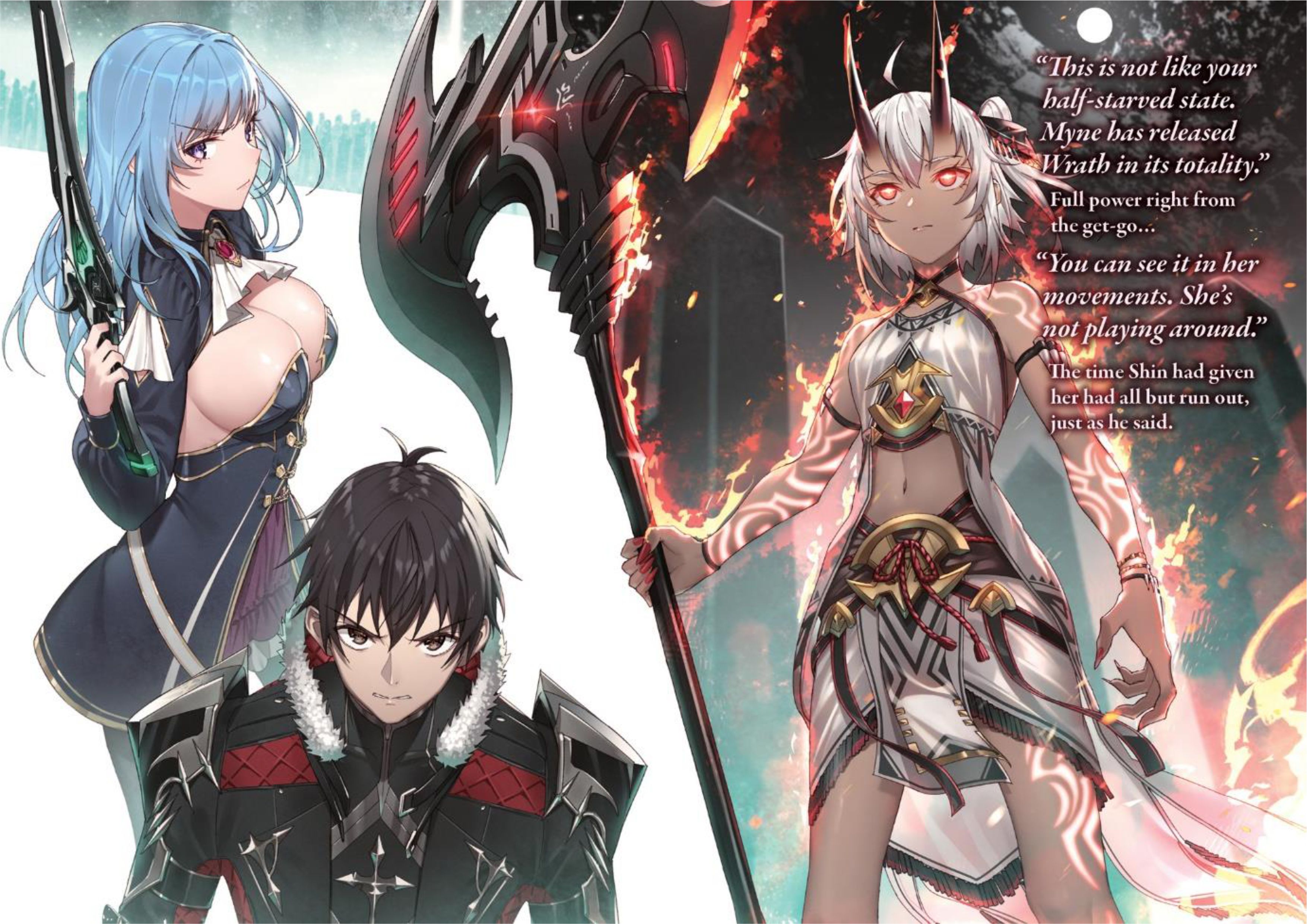 Boushoku no Berserk V7 Official Illustration - Megumi Novel
