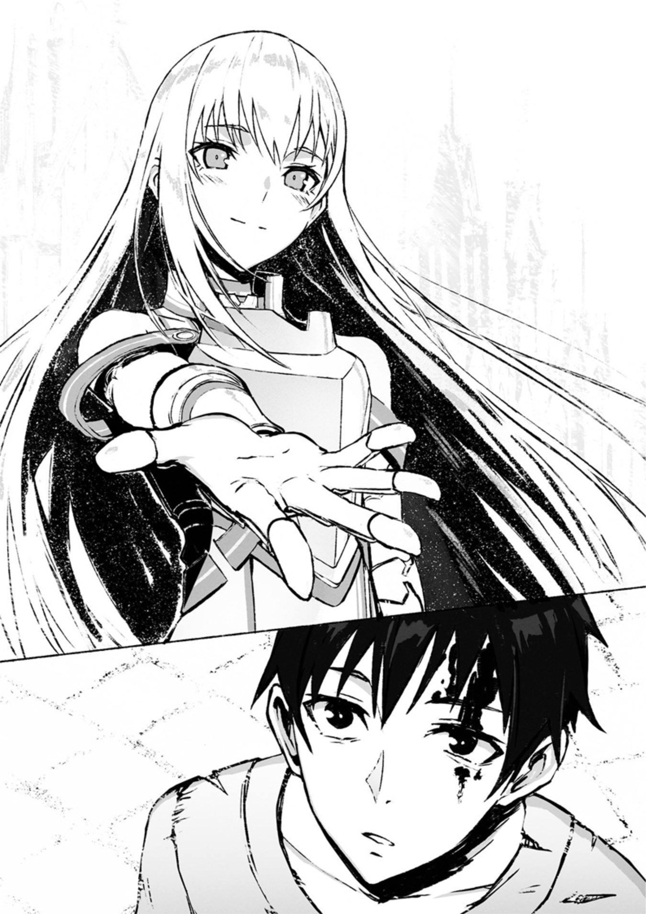 Boushoku no Berserk V1 Illustration - Megumi Novel