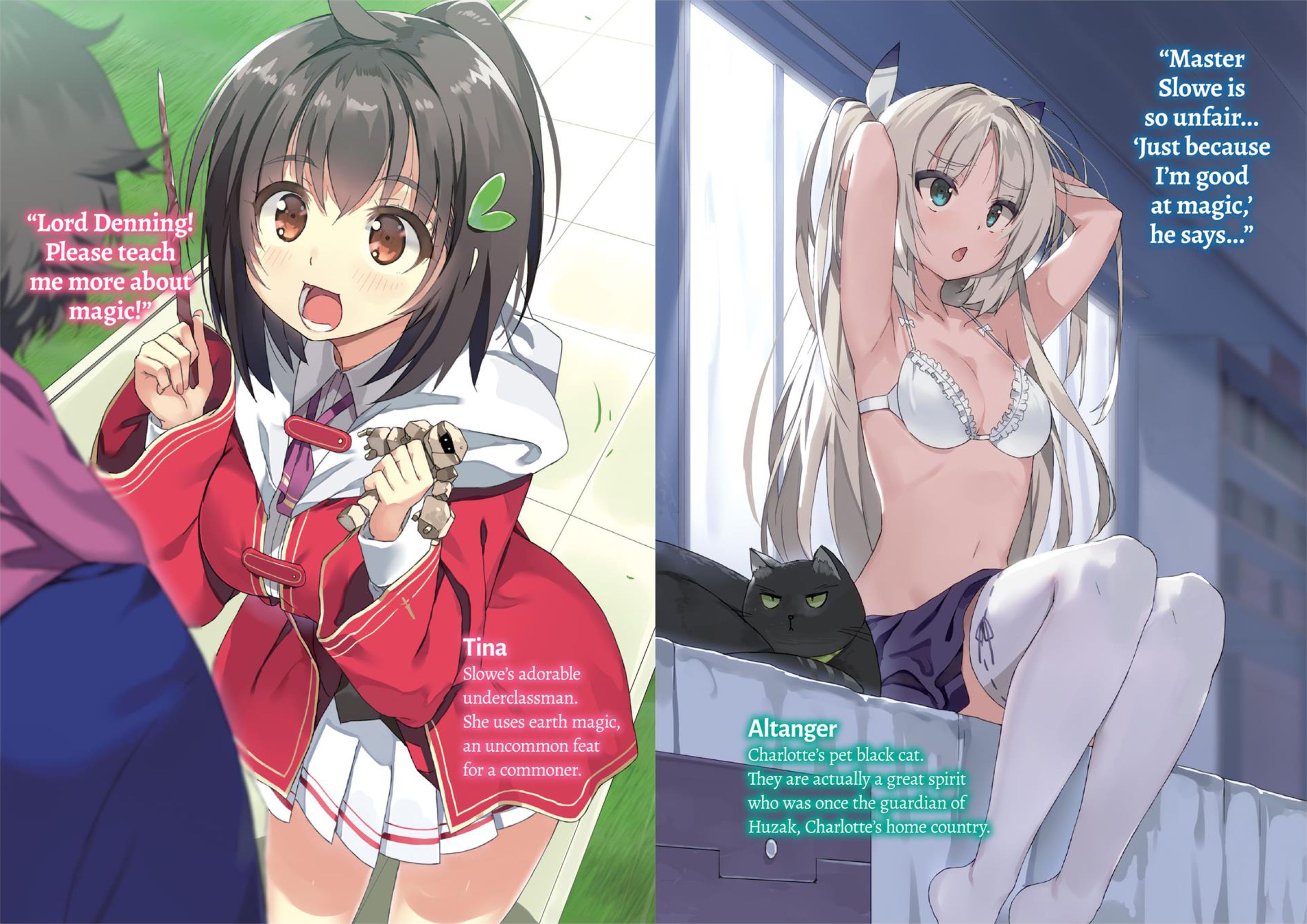 Buta Koushaku ni Tensei Shitakara V1 Illustration - Megumi Novel