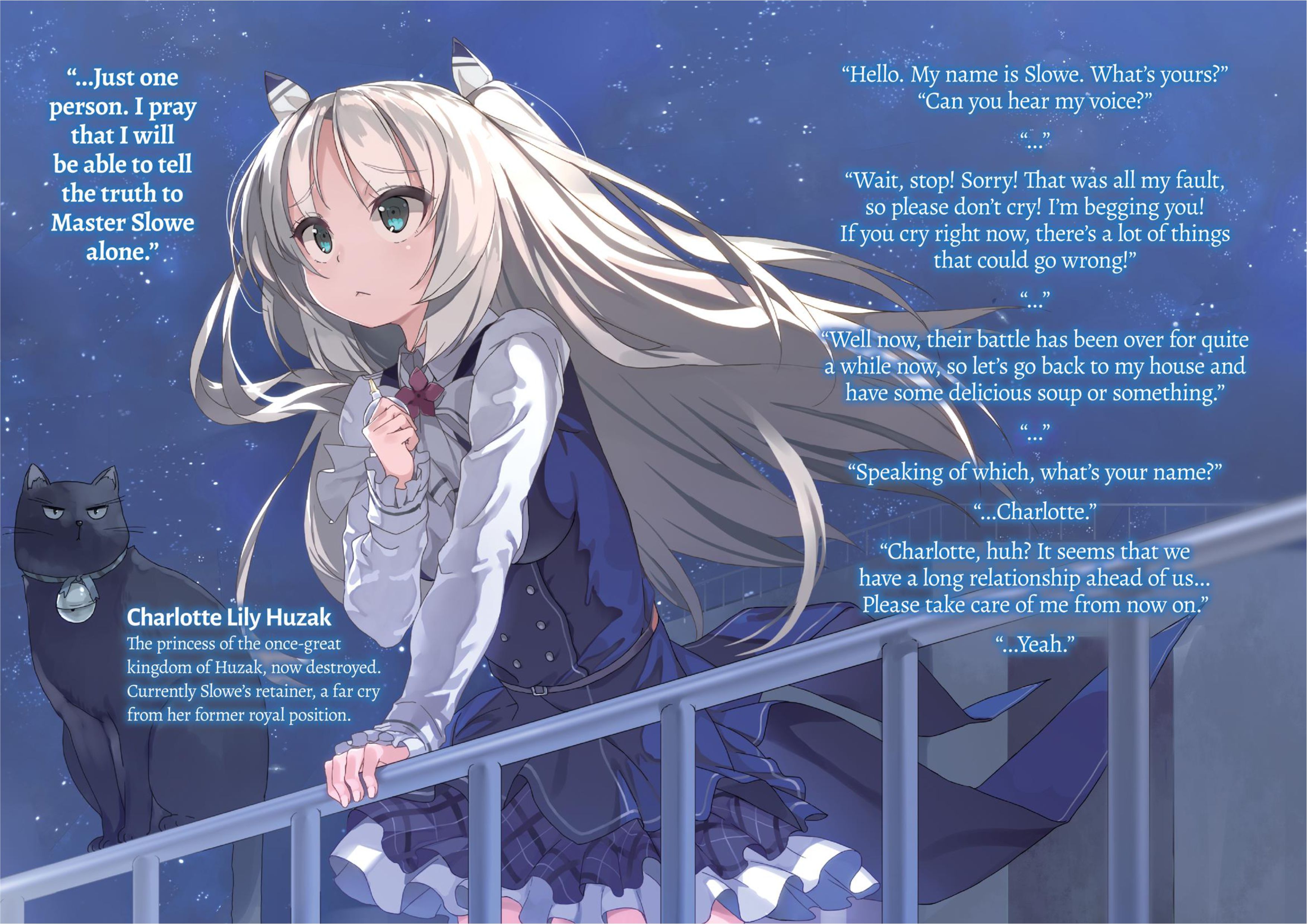 Buta Koushaku ni Tensei Shitakara V3 Illustration - Megumi Novel