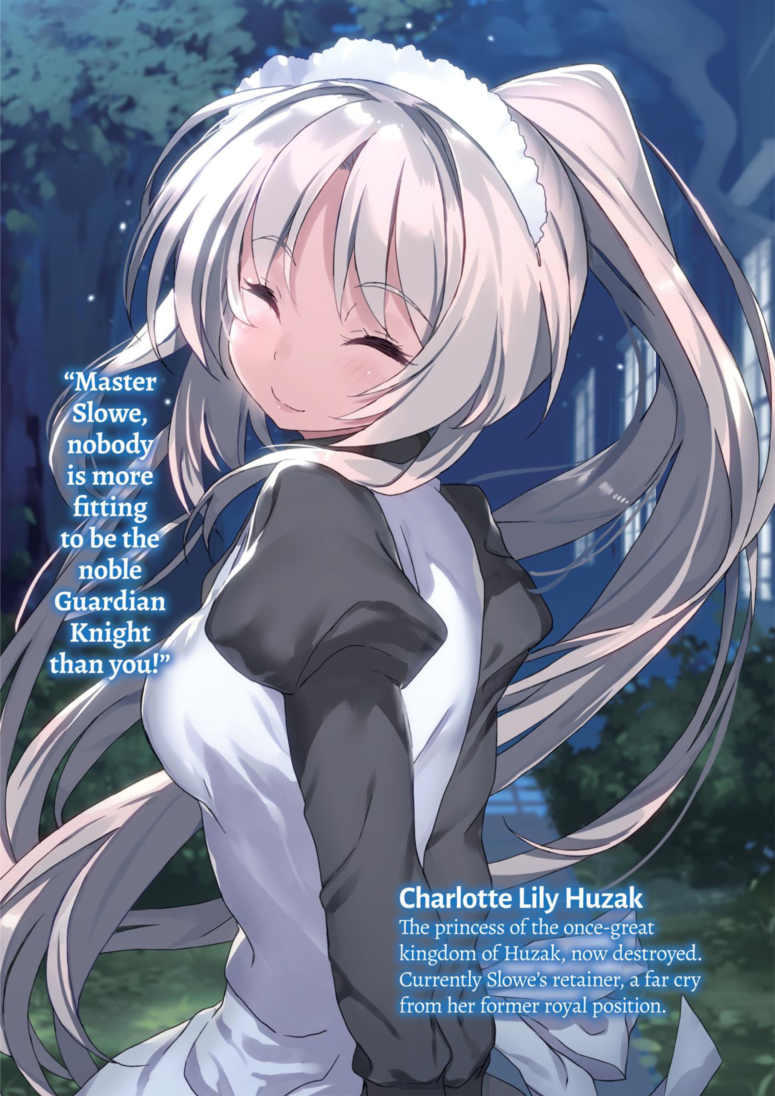 Buta Koushaku ni Tensei Shitakara V6 Illustration - Megumi Novel