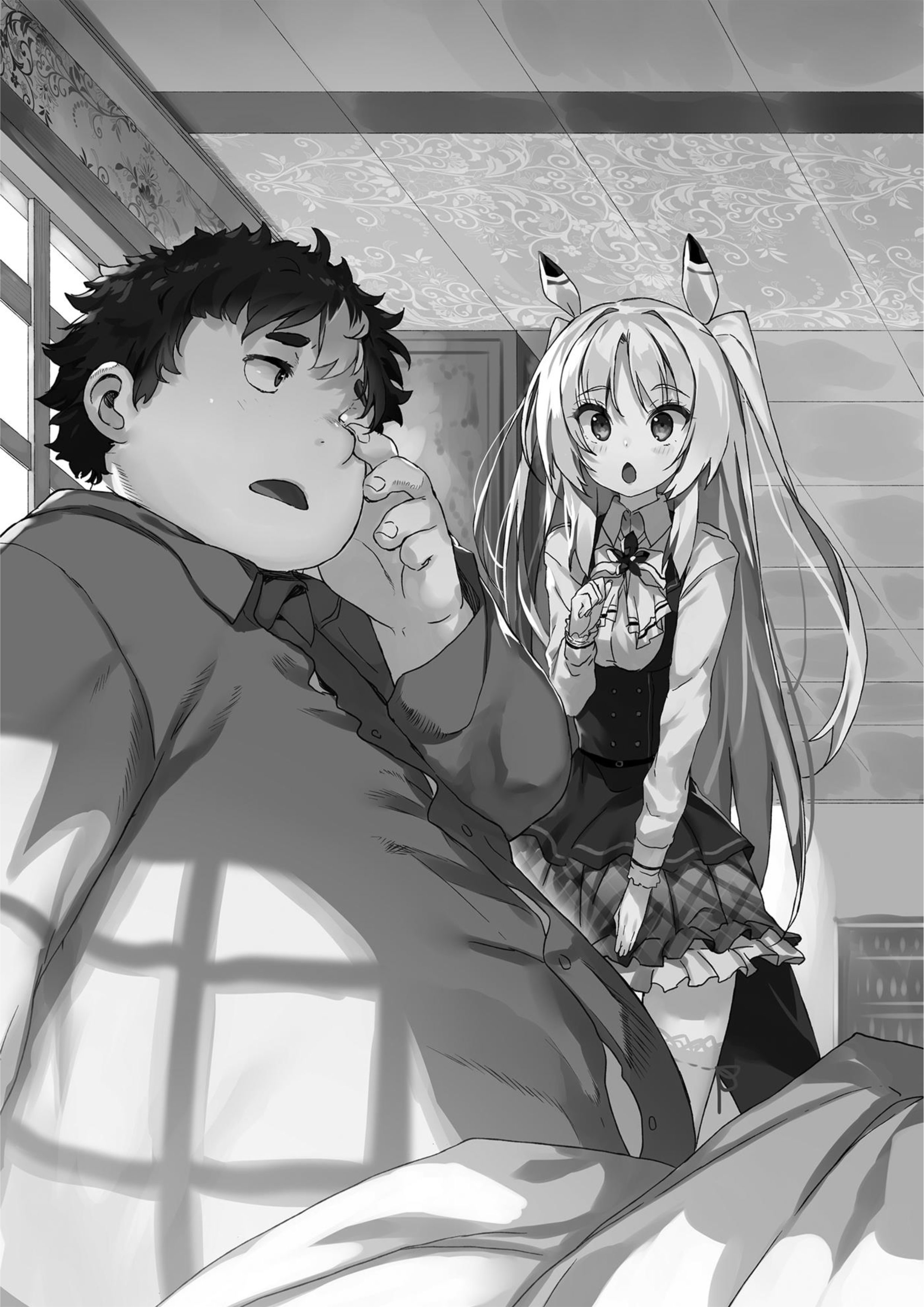 Buta Koushaku ni Tensei Shitakara V6 Illustration - Megumi Novel