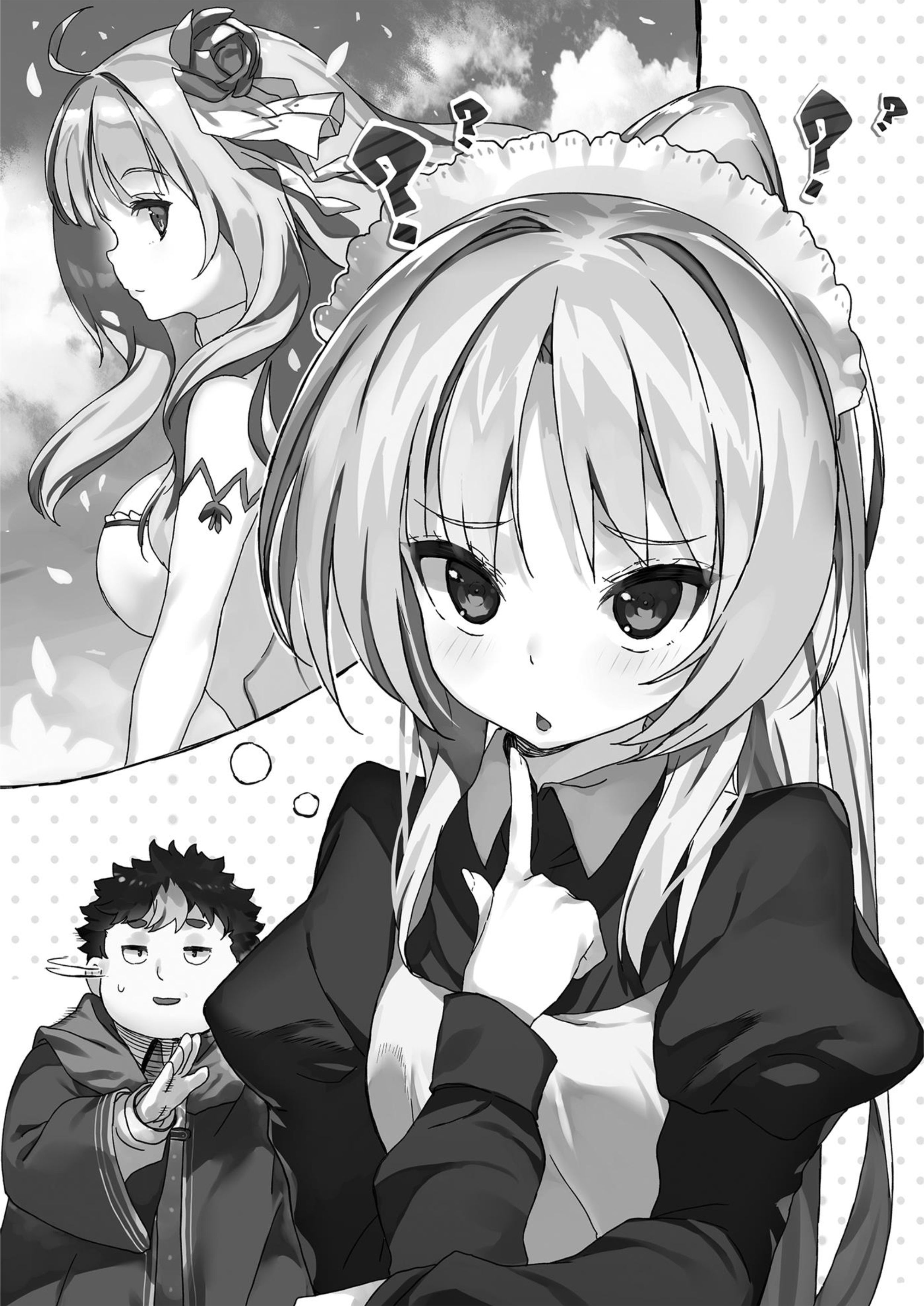 Buta Koushaku ni Tensei Shitakara V6 Illustration - Megumi Novel