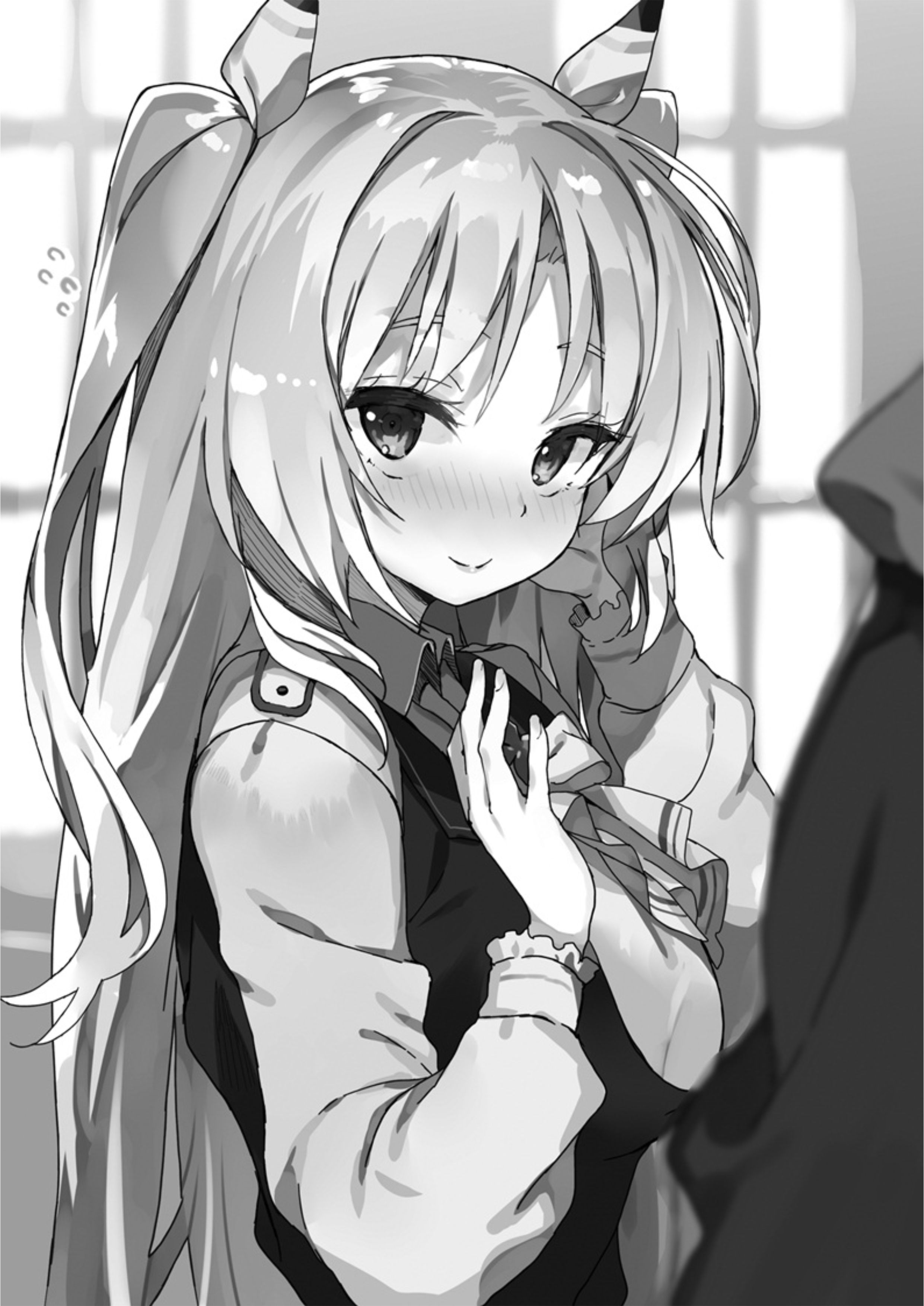 Buta Koushaku ni Tensei Shitakara V7 Illustration - Megumi Novel