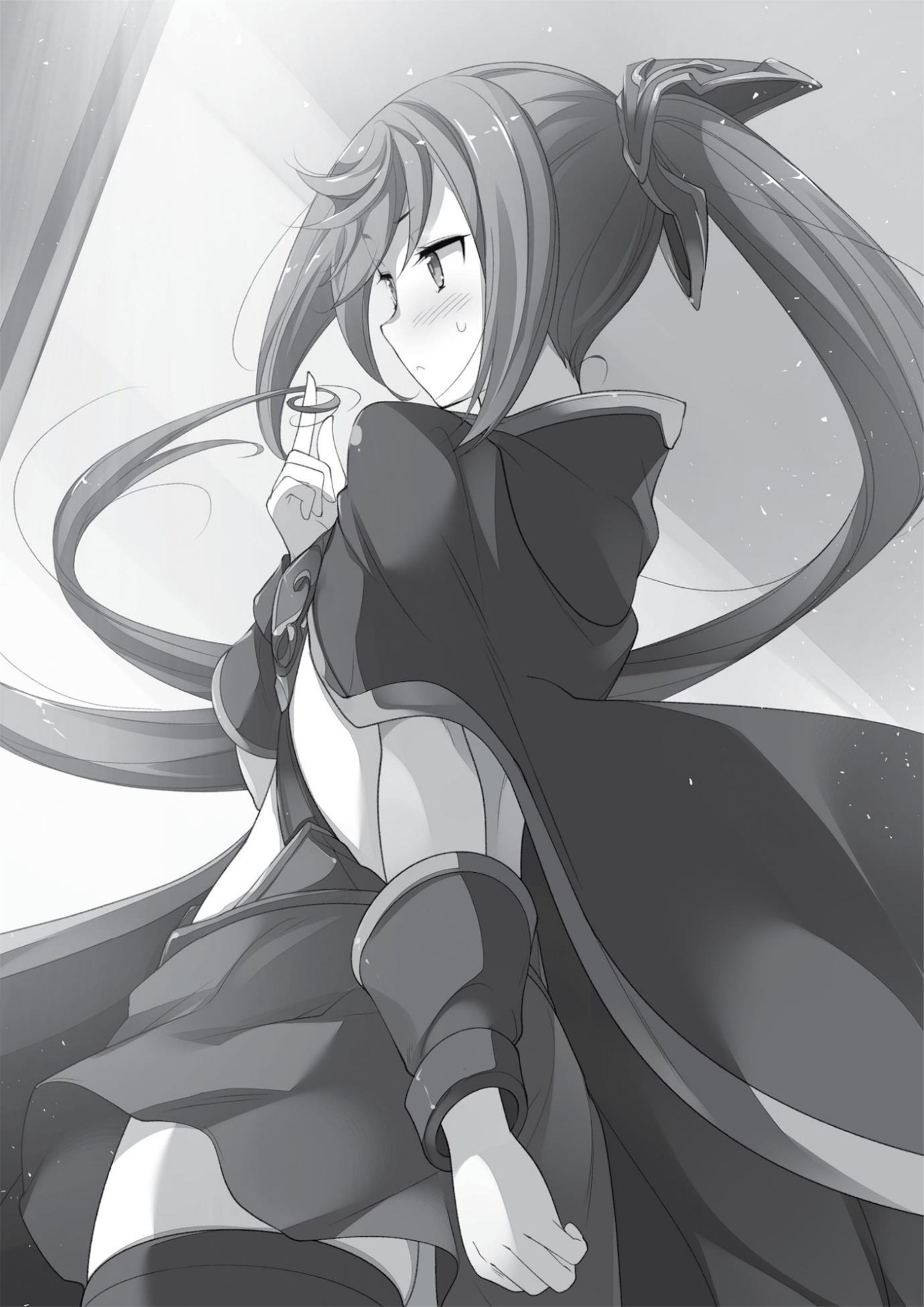 Cheat Kusushi no Slow Life V1 Illustration - Megumi Novel