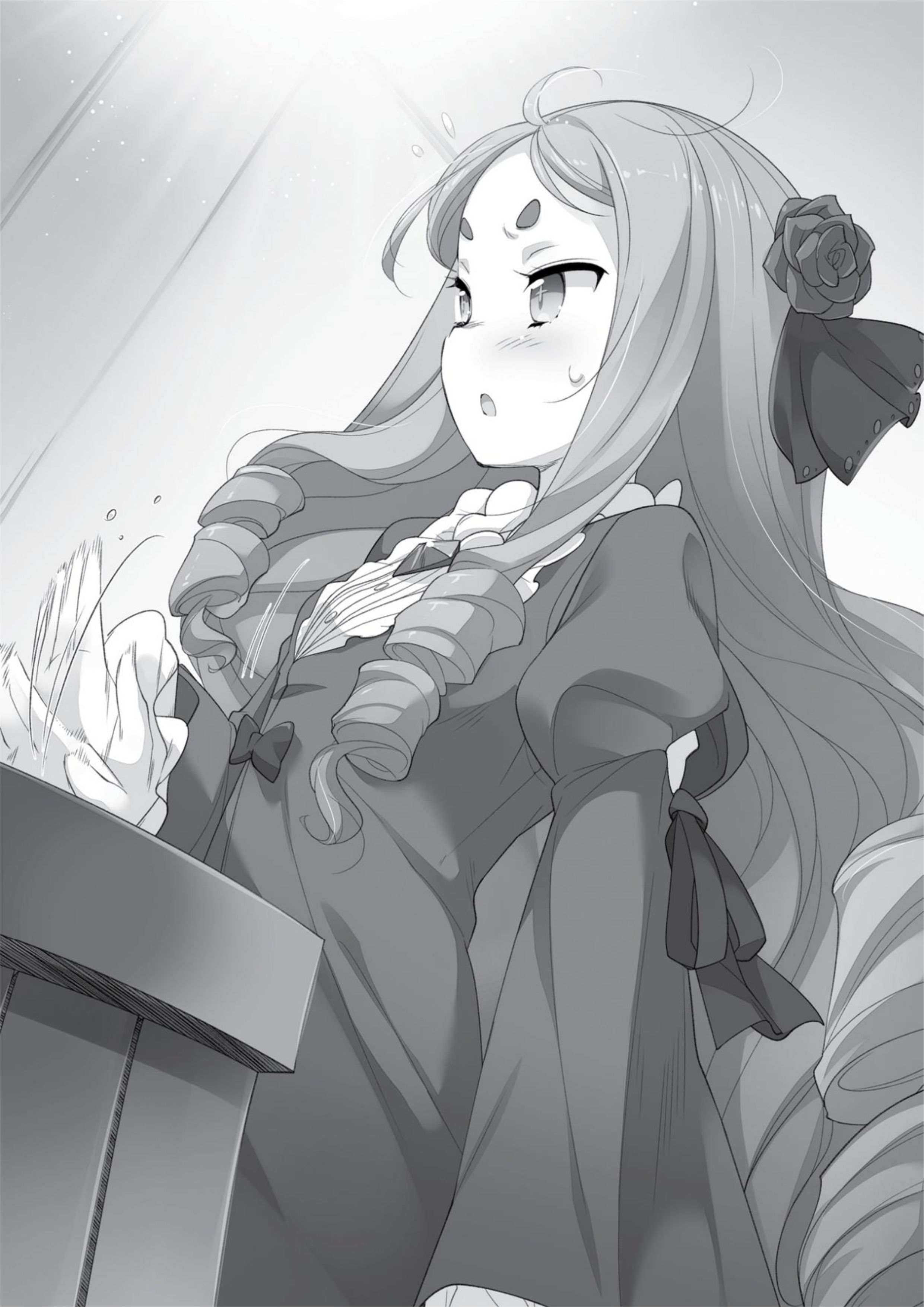 Cheat Kusushi no Slow Life V1 Illustration - Megumi Novel