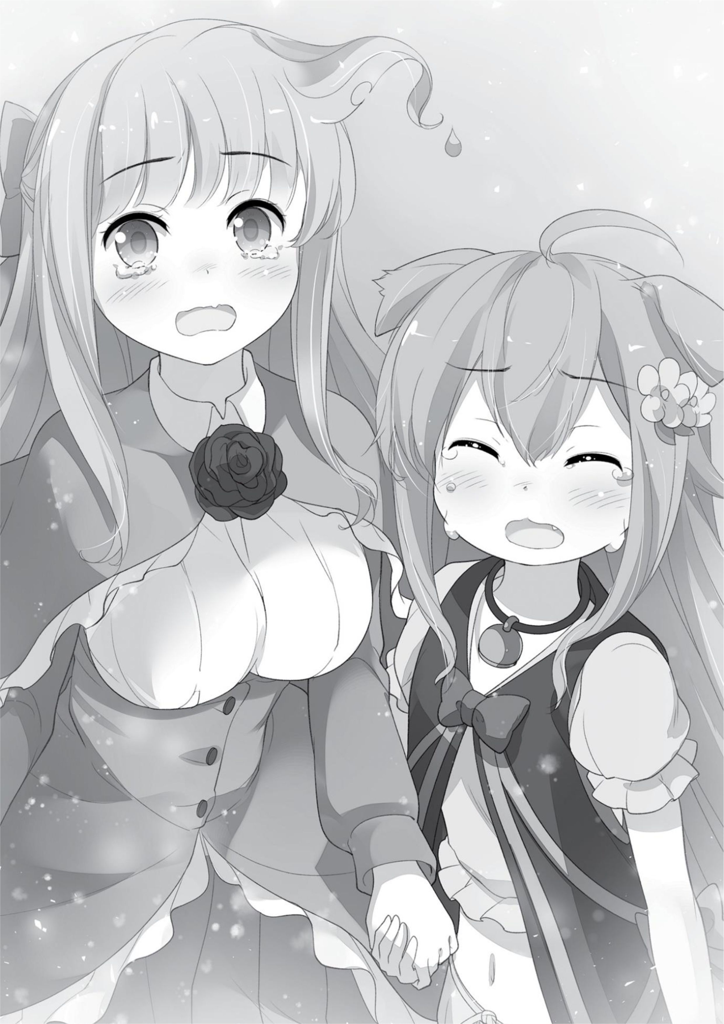 Cheat Kusushi no Slow Life V1 Illustration - Megumi Novel