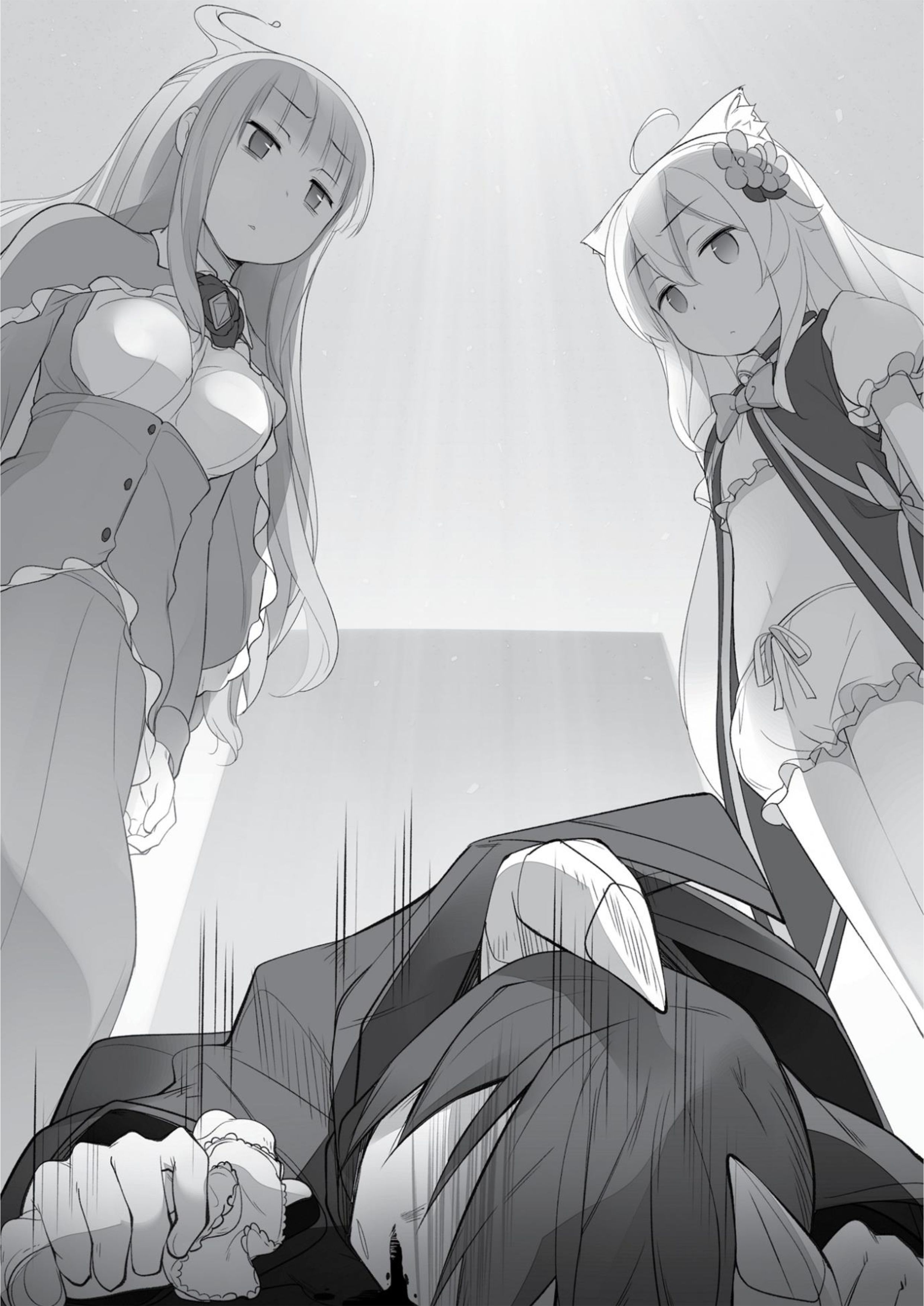 Cheat Kusushi no Slow Life V3 Illustration - Megumi Novel