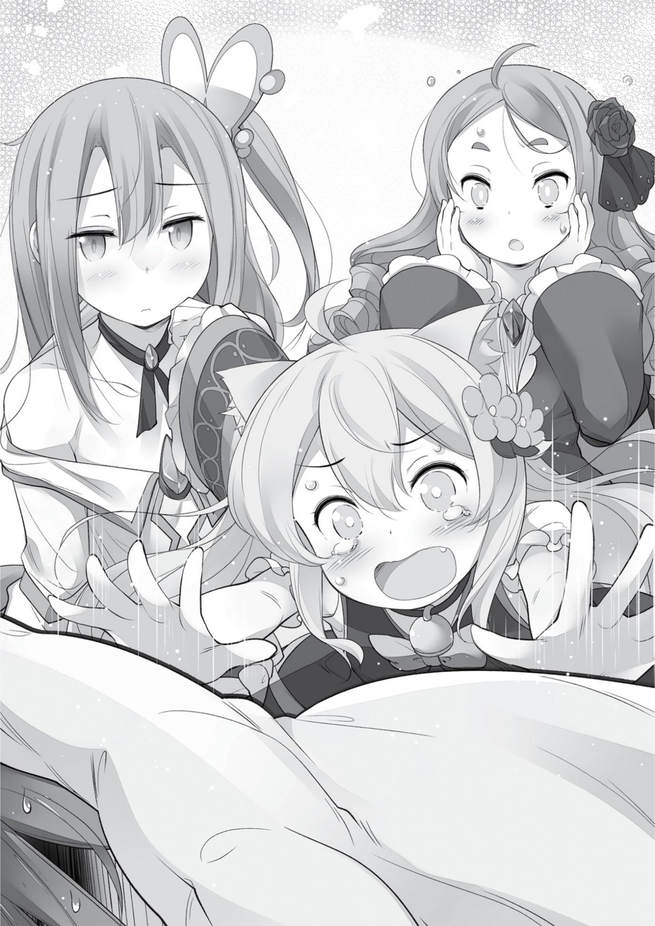 Cheat Kusushi no Slow Life V3 Illustration - Megumi Novel