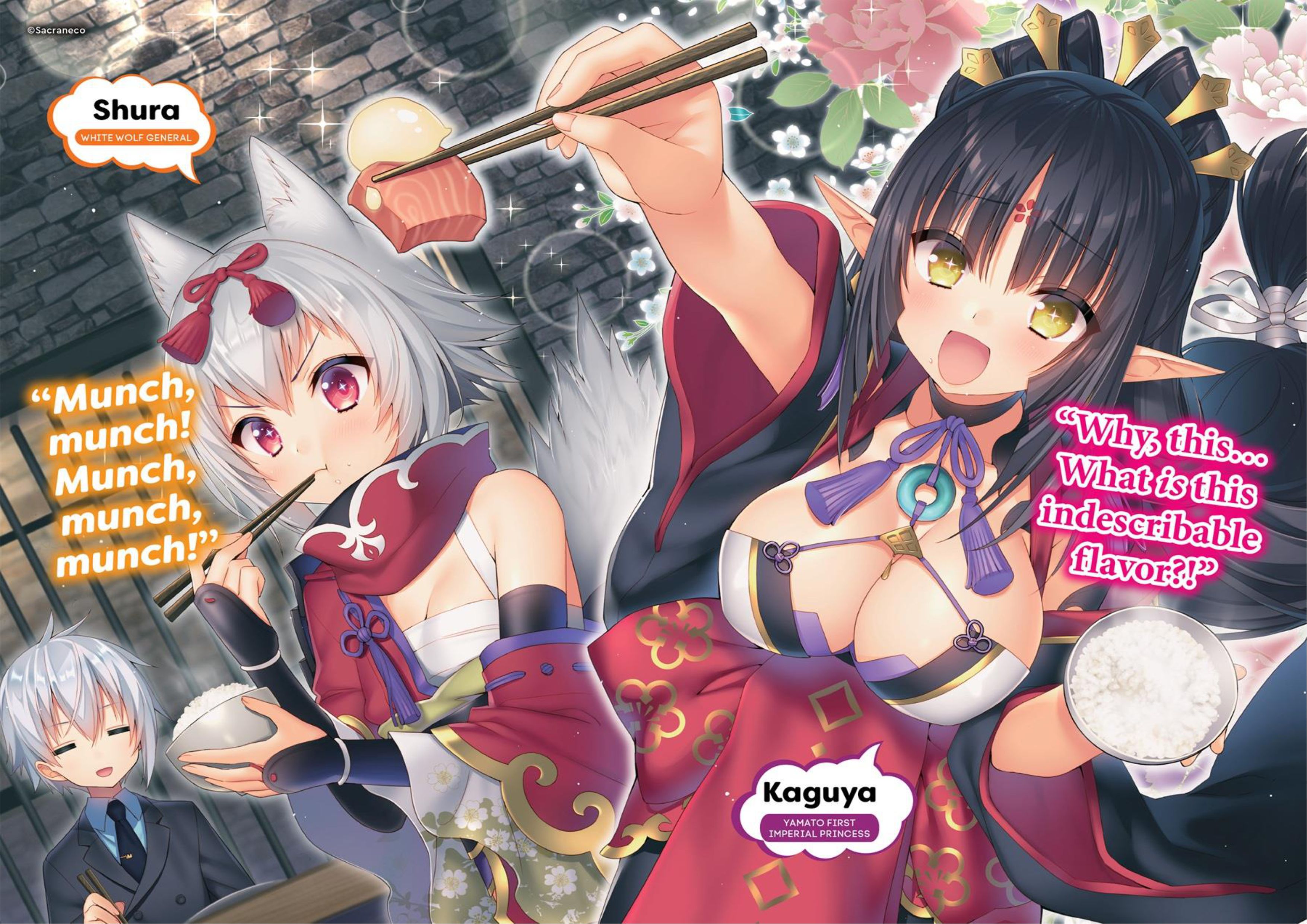 Choujin Koukousei V5 Illustration - Megumi Novel