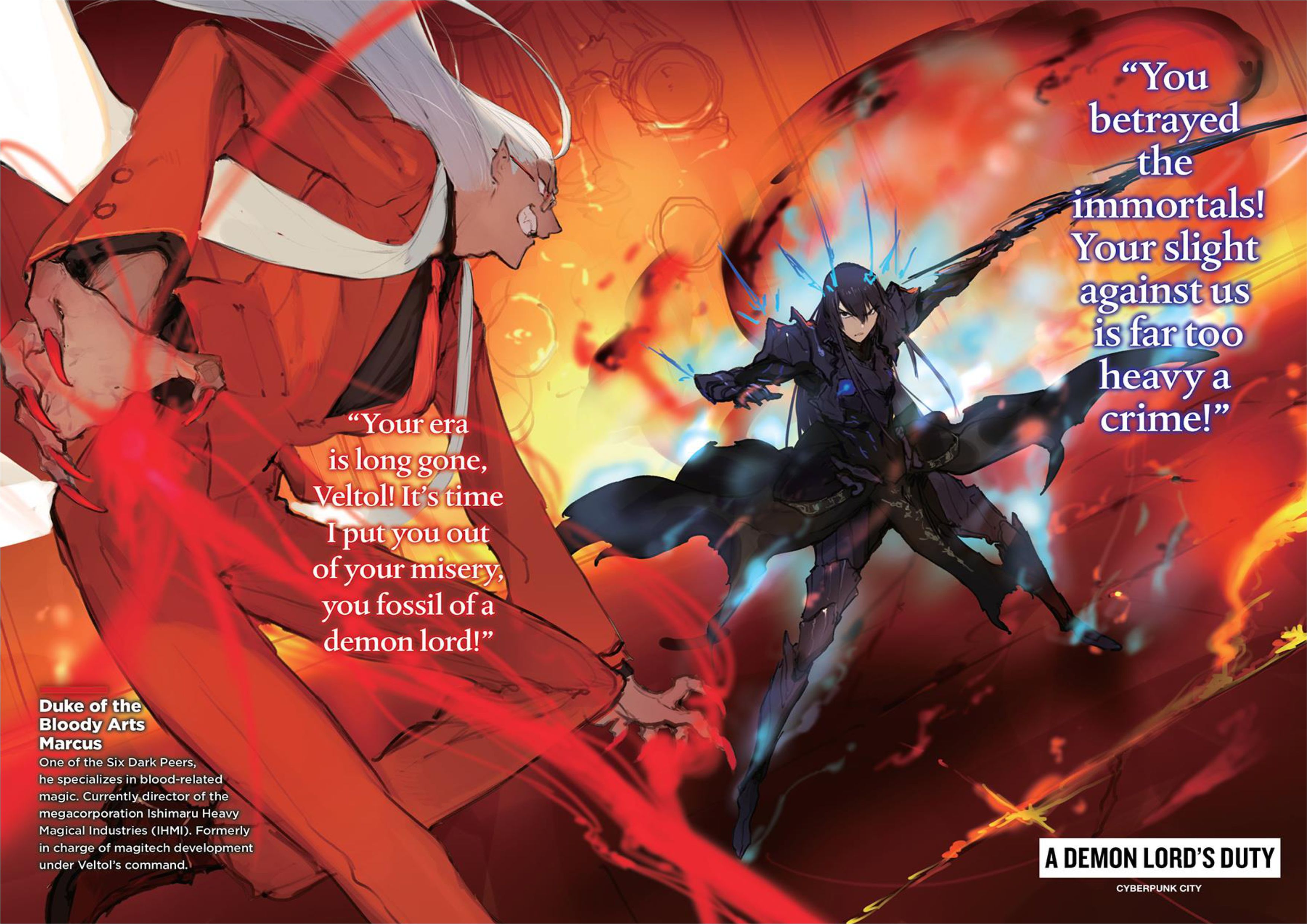 Demon Lord 2099 V1 Illustration - Megumi Novel