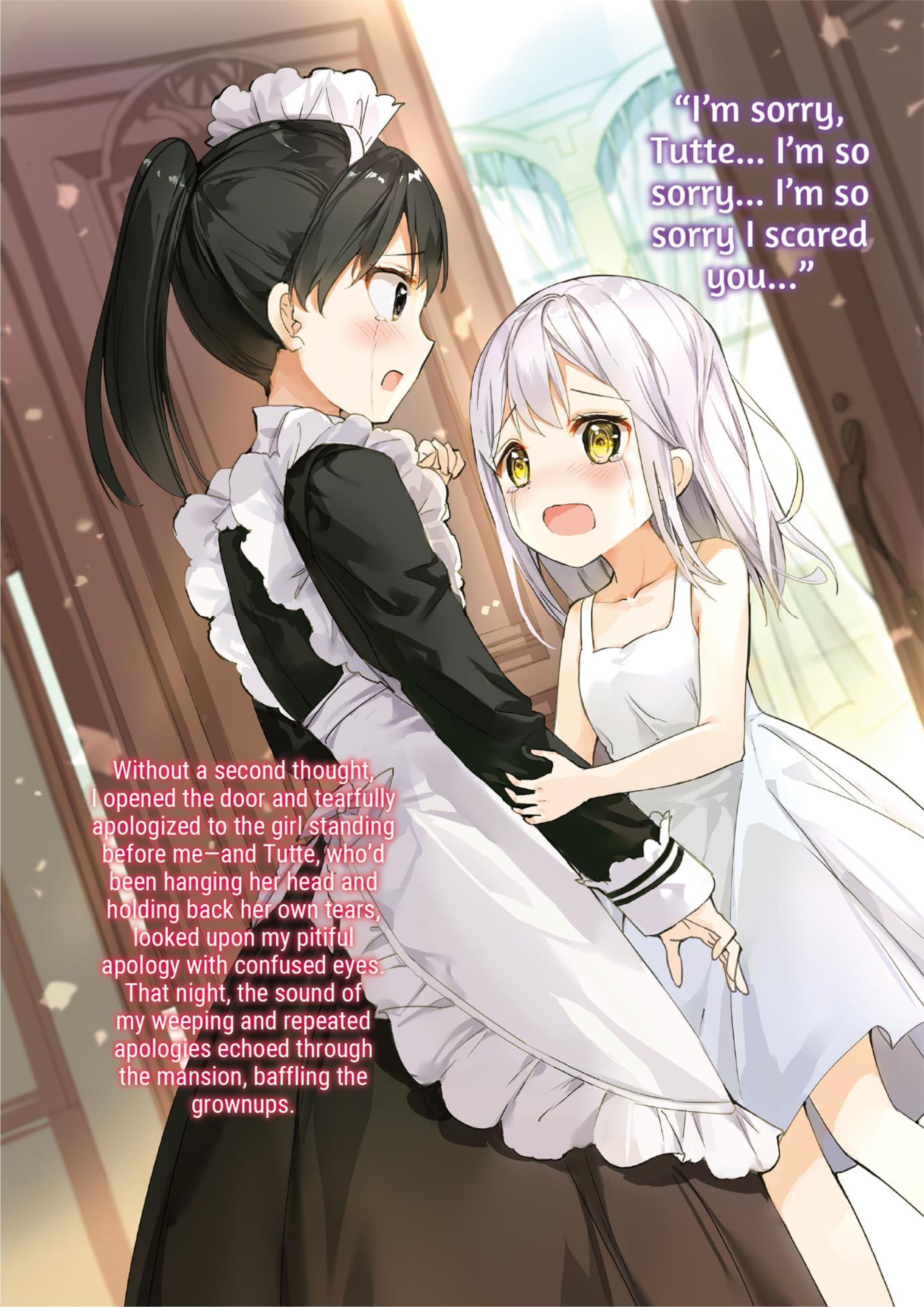 Douyara Watashi No Karada Wa Kanzen Muteki No You Desu Ne V1 Illustration - Megumi Novel