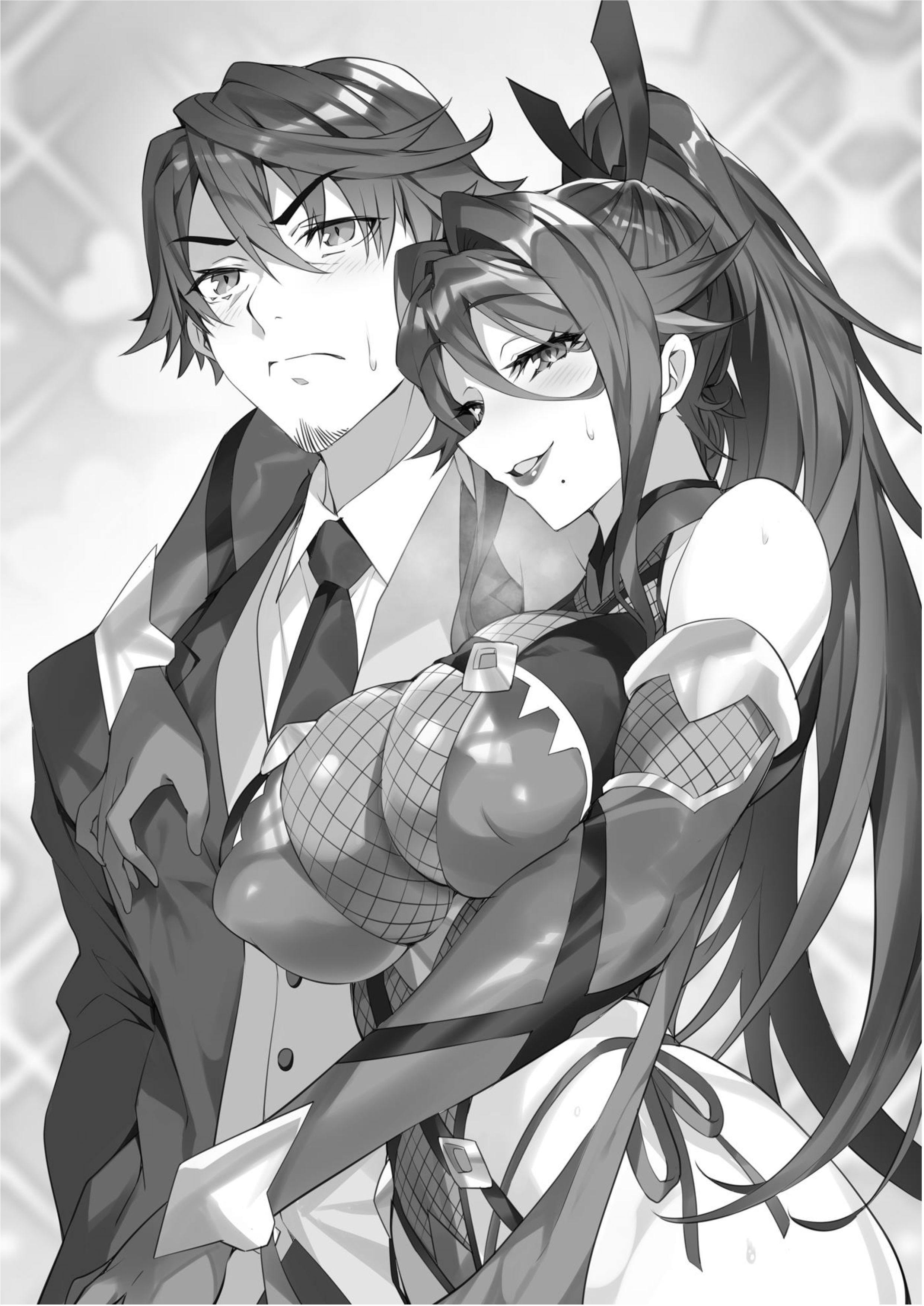 Dungeon Busters V1 Illustration - Megumi Novel