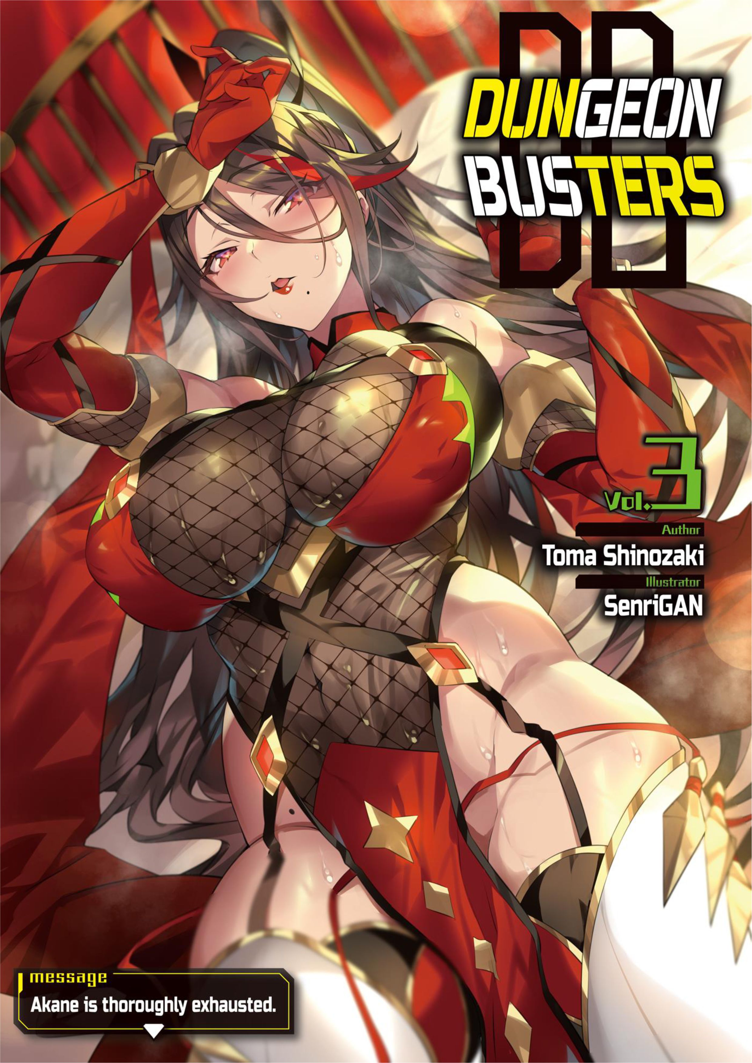 Dungeon Busters V3 Illustration - Megumi Novel
