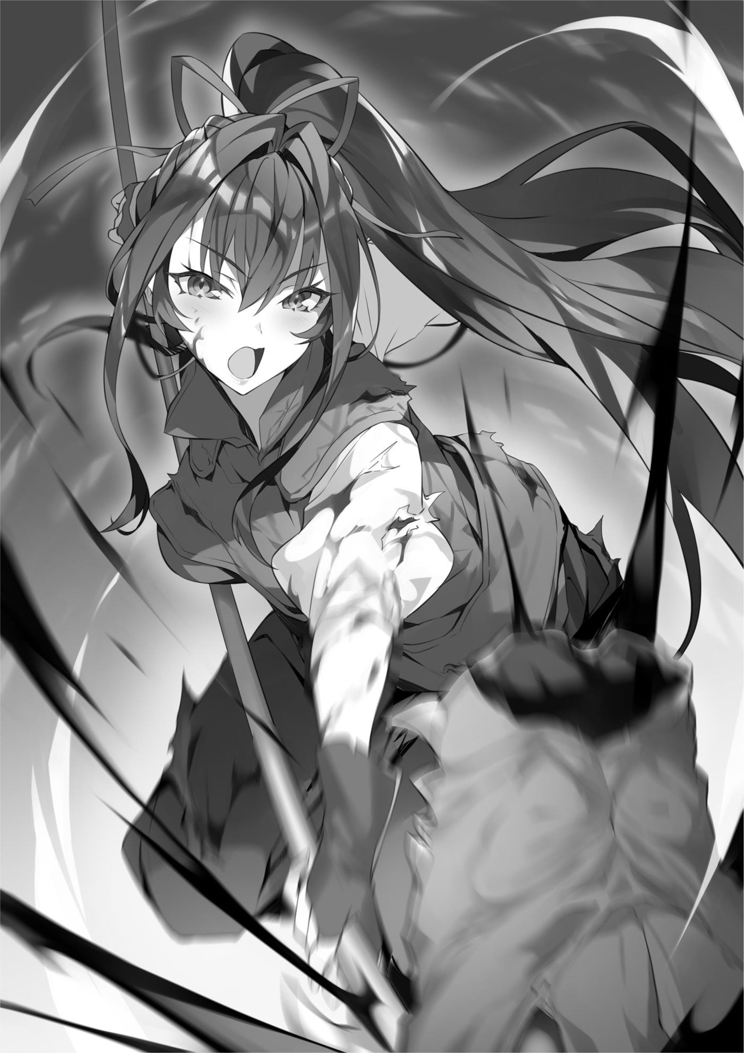Dungeon Busters V3 Illustration - Megumi Novel