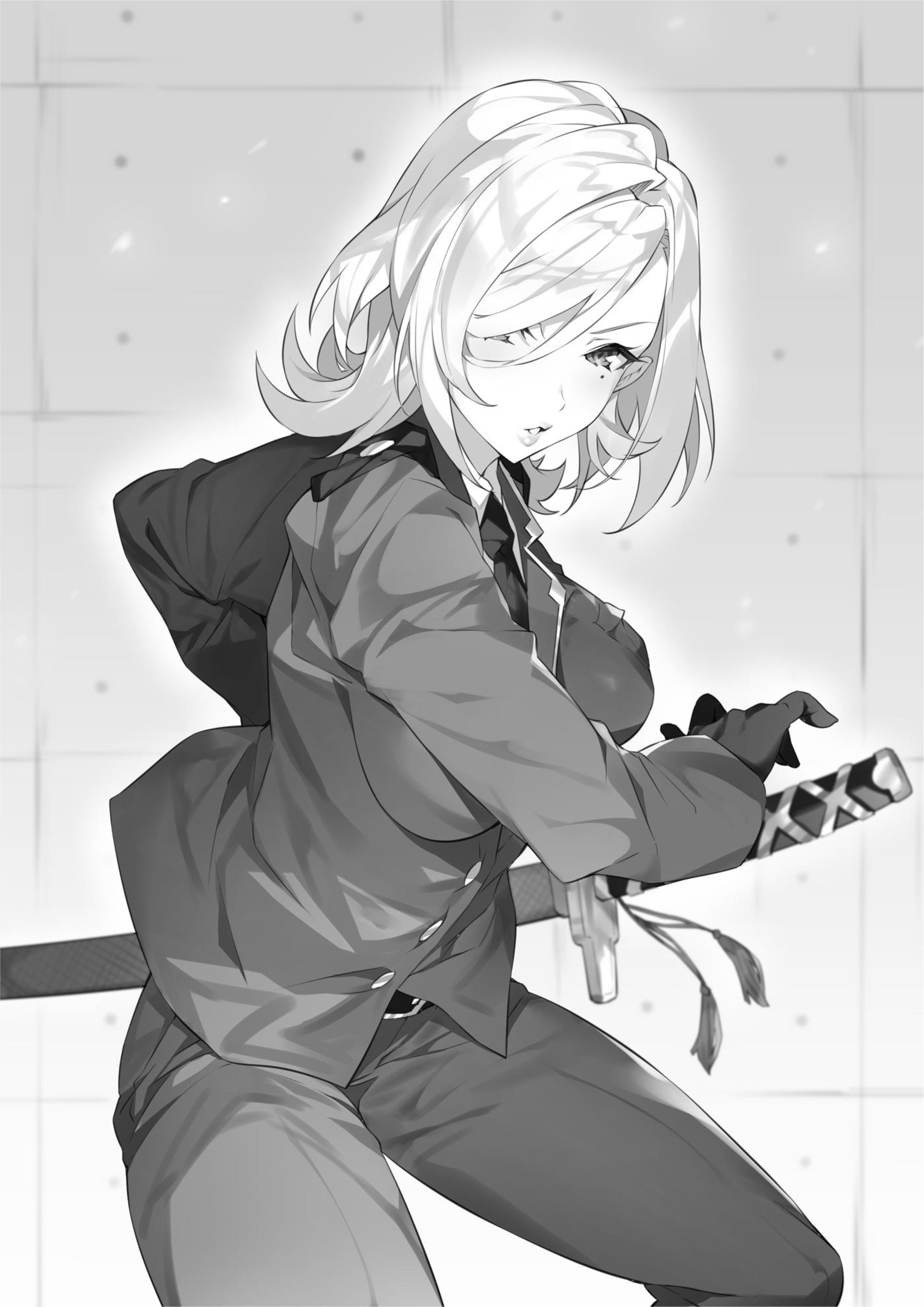 Dungeon Busters V3 Illustration - Megumi Novel