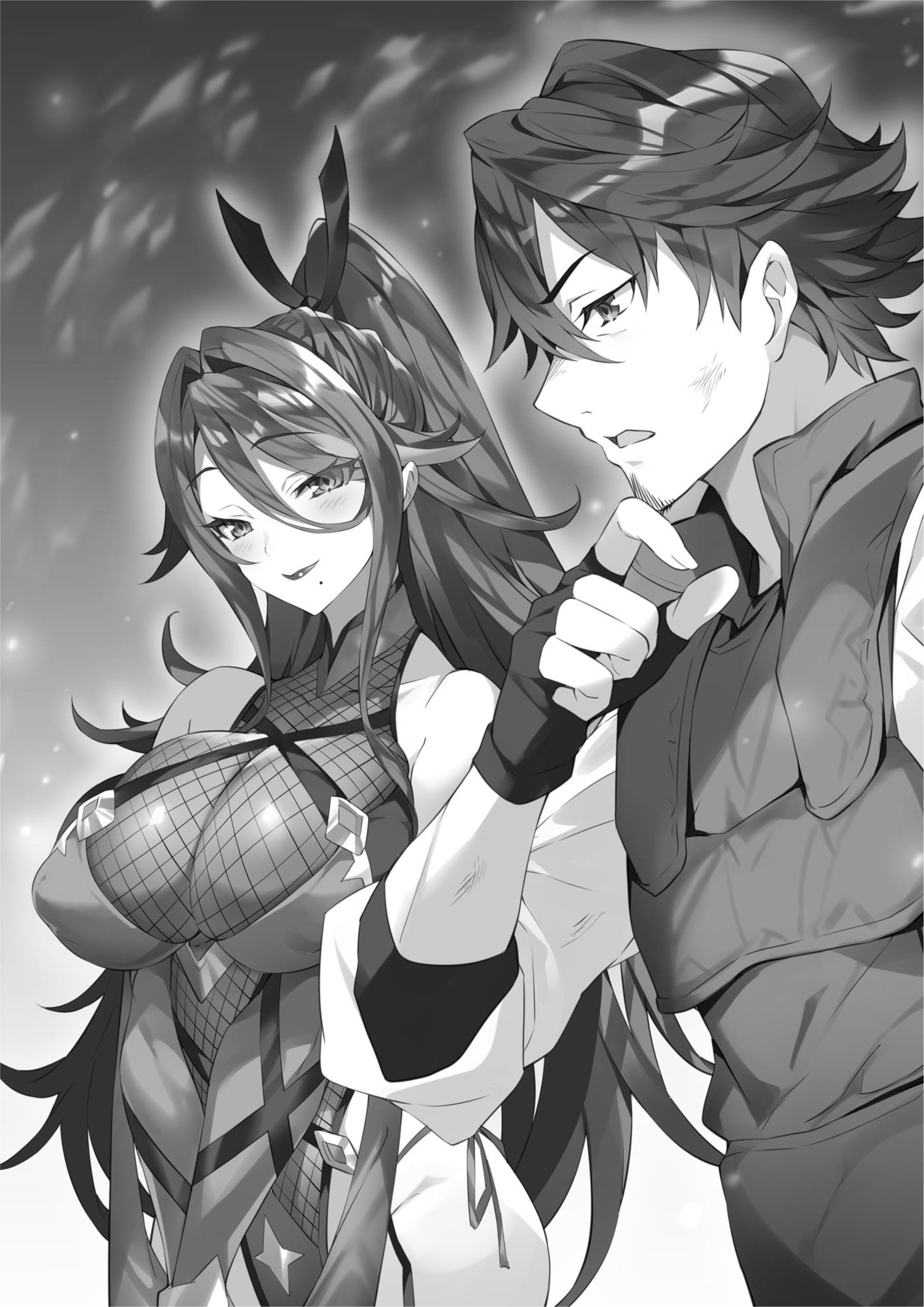 Dungeon Busters V3 Illustration - Megumi Novel