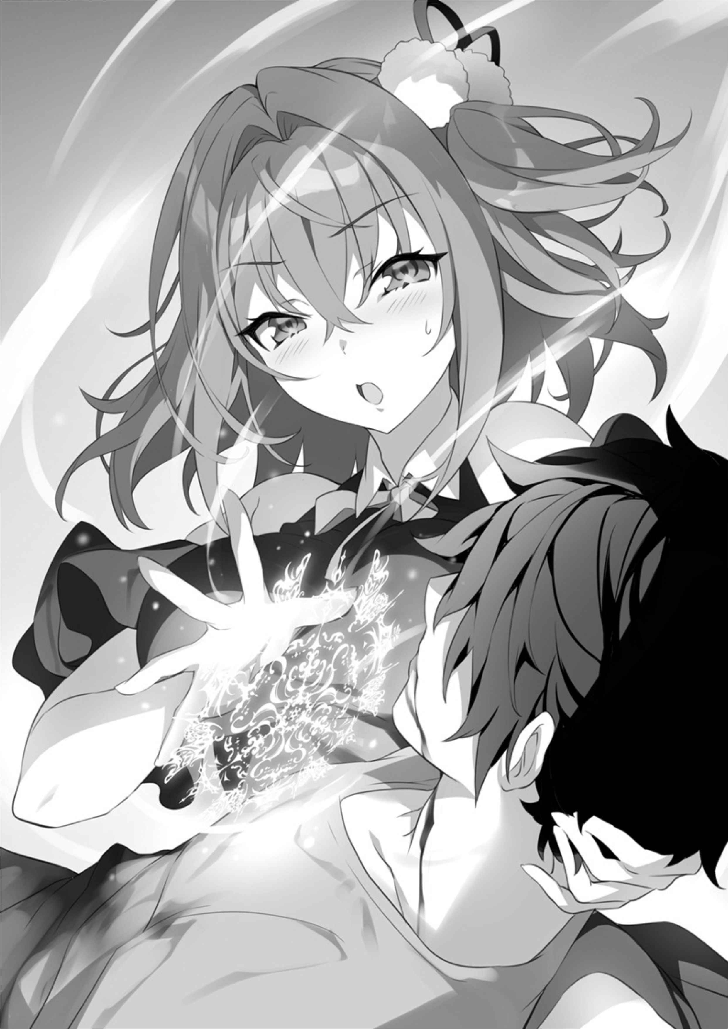 Dungeon Busters V4 Illustration - Megumi Novel