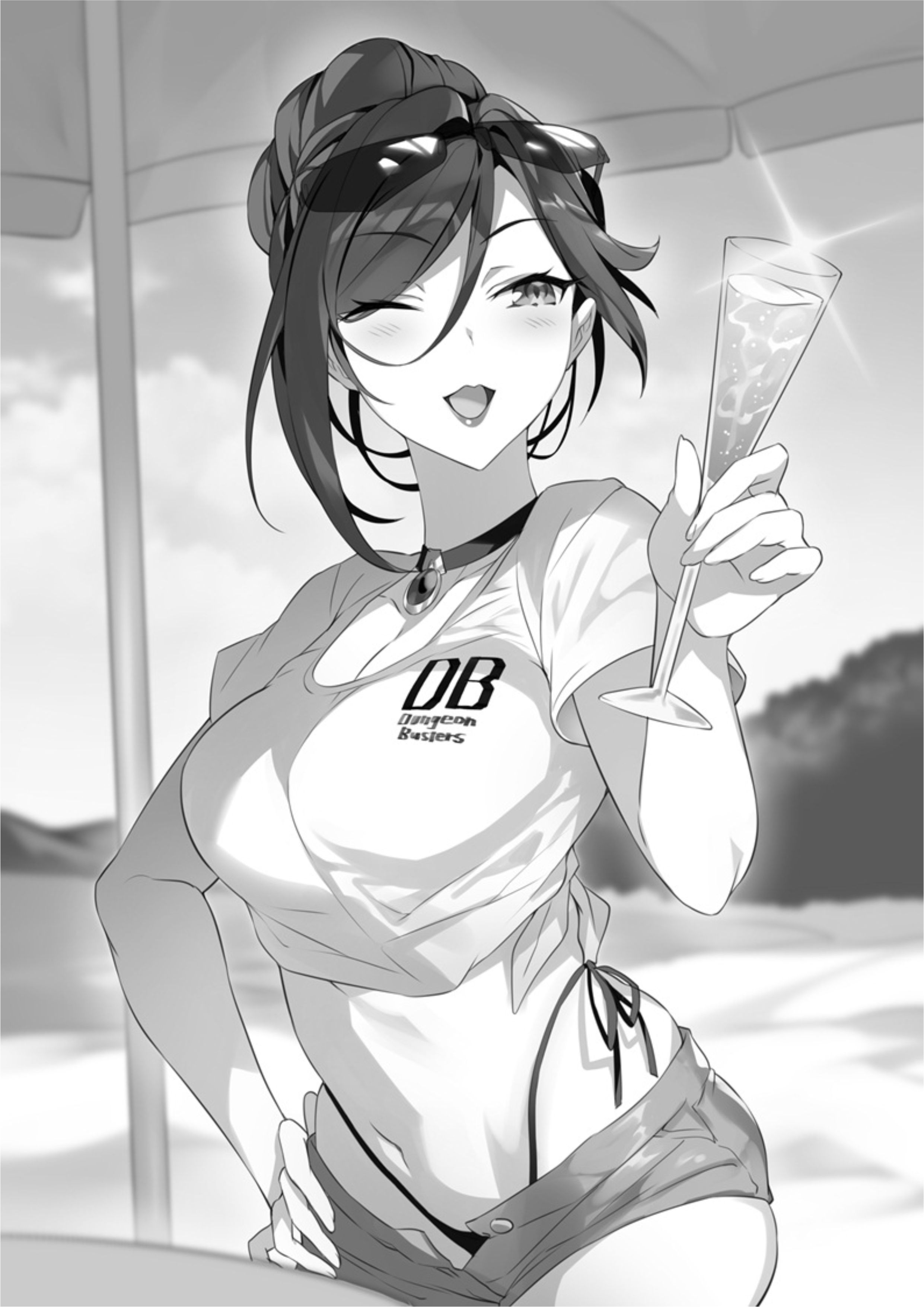 Dungeon Busters V4 Illustration - Megumi Novel