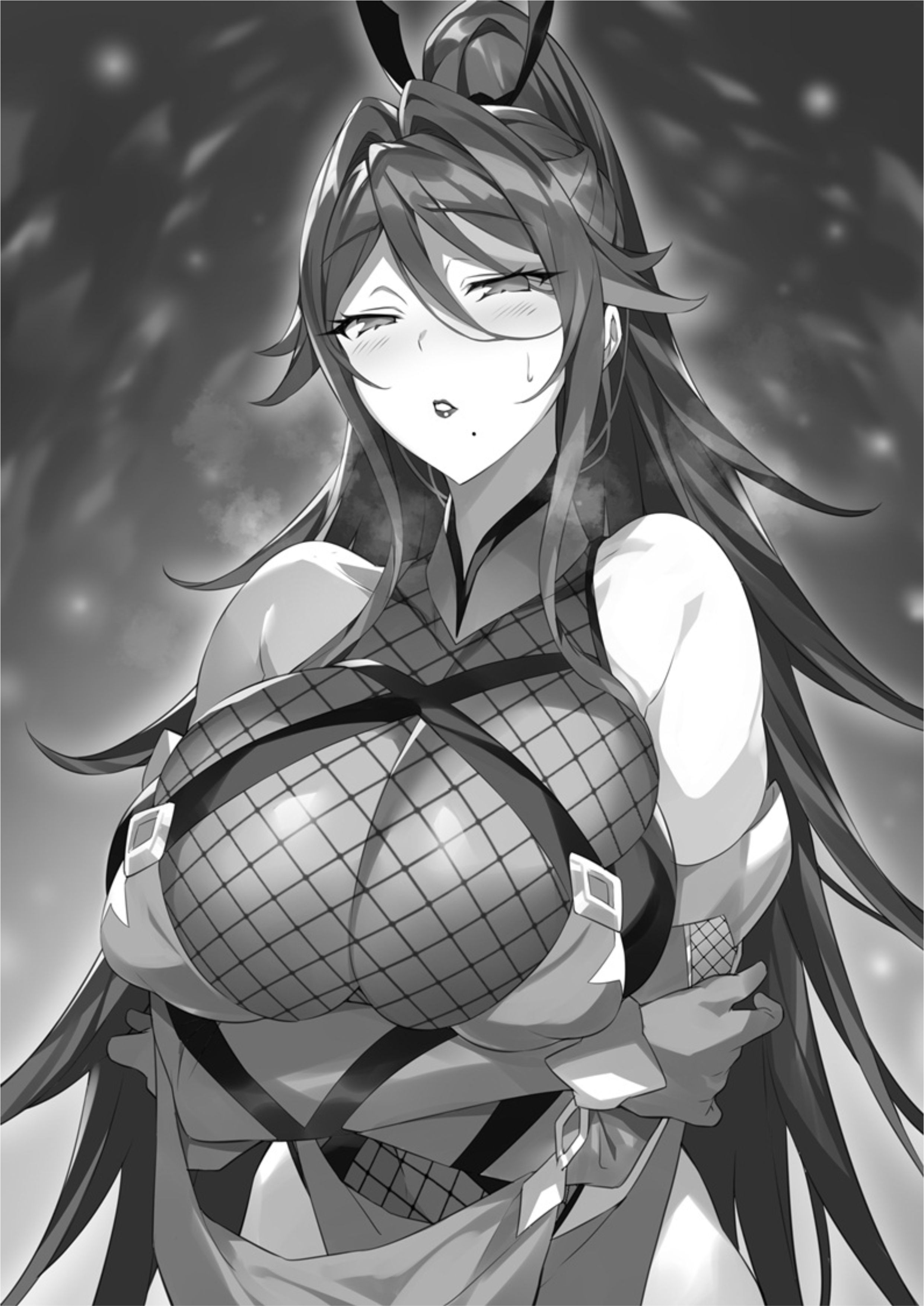 Dungeon Busters V4 Illustration - Megumi Novel