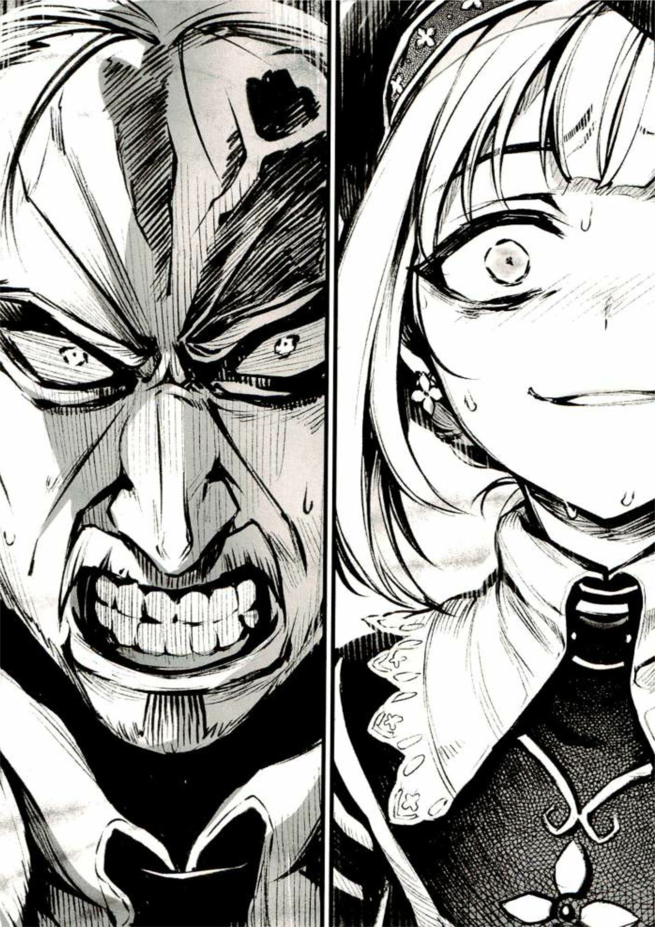 Dungeon Defense V2 Illustration - Megumi Novel