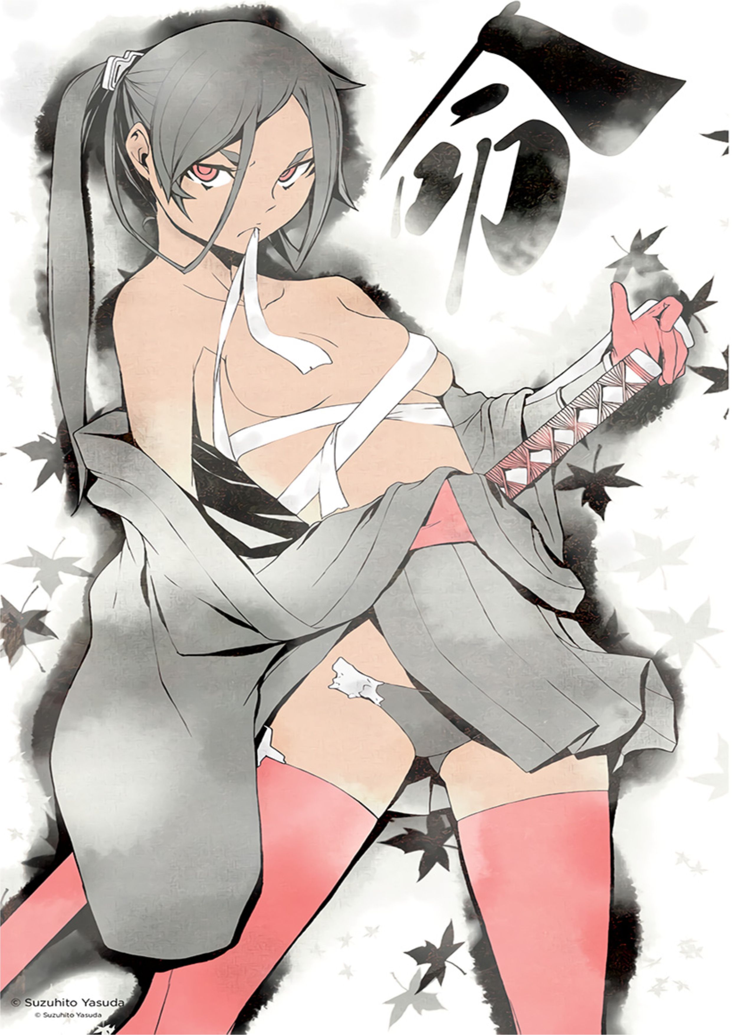 Dungeon ni Deai o Motomeru no wa Machigatte Iru Darou ka V6 Illustration - Megumi Novel