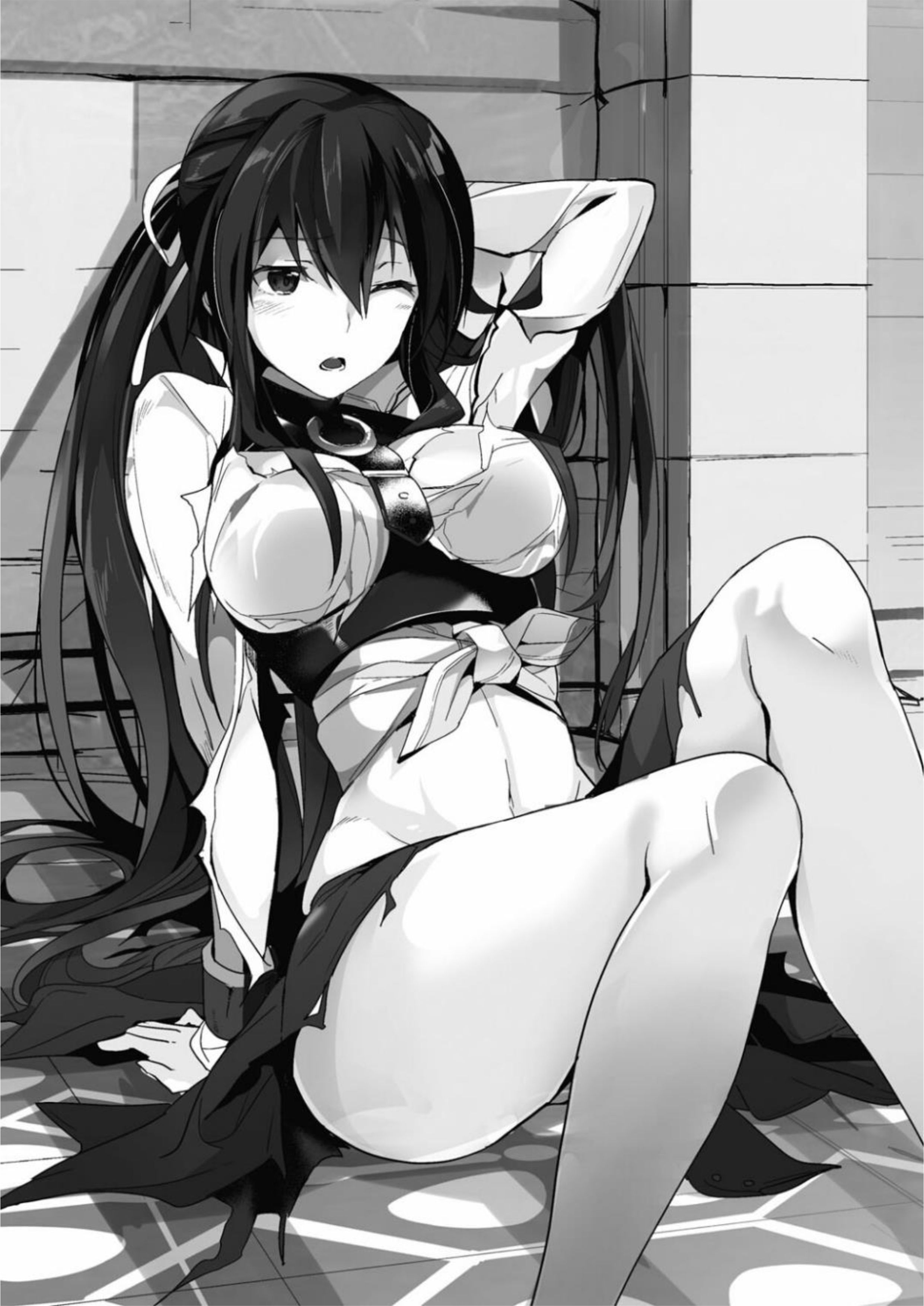 Ecstas Online V1 Illustration - Megumi Novel