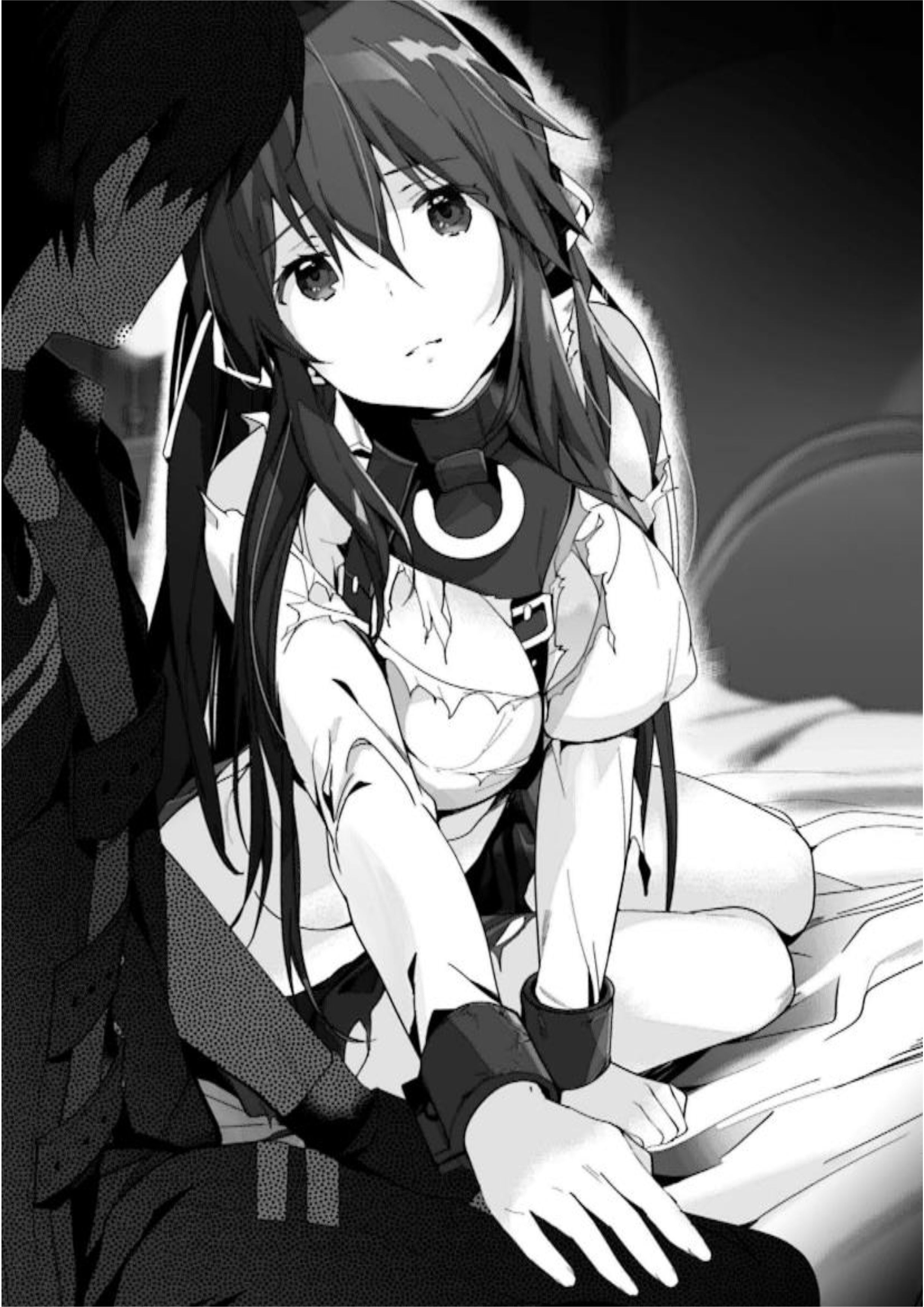 Ecstas Online V7 Illustration - Megumi Novel