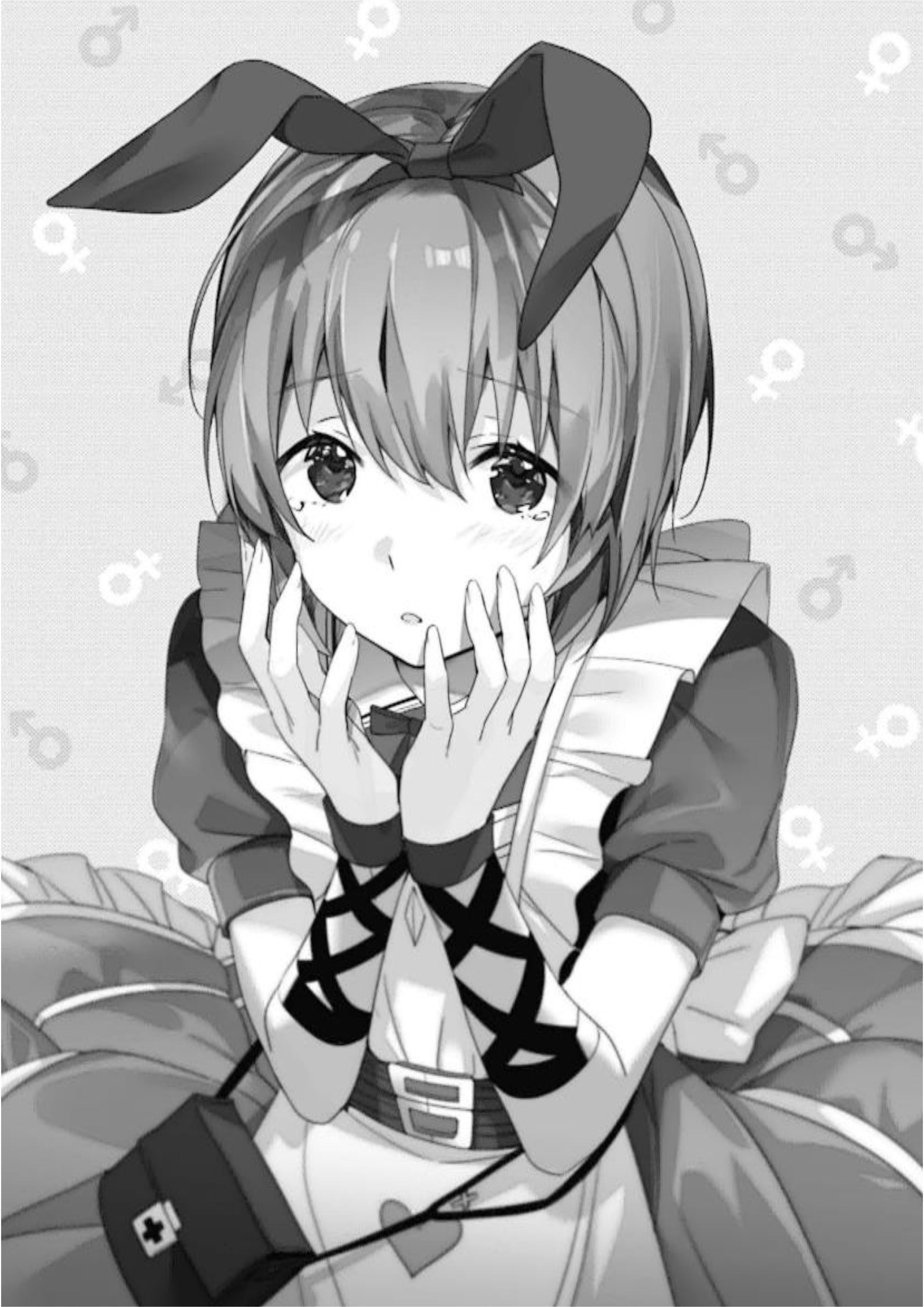 Ecstas Online V8 Illustration - Megumi Novel