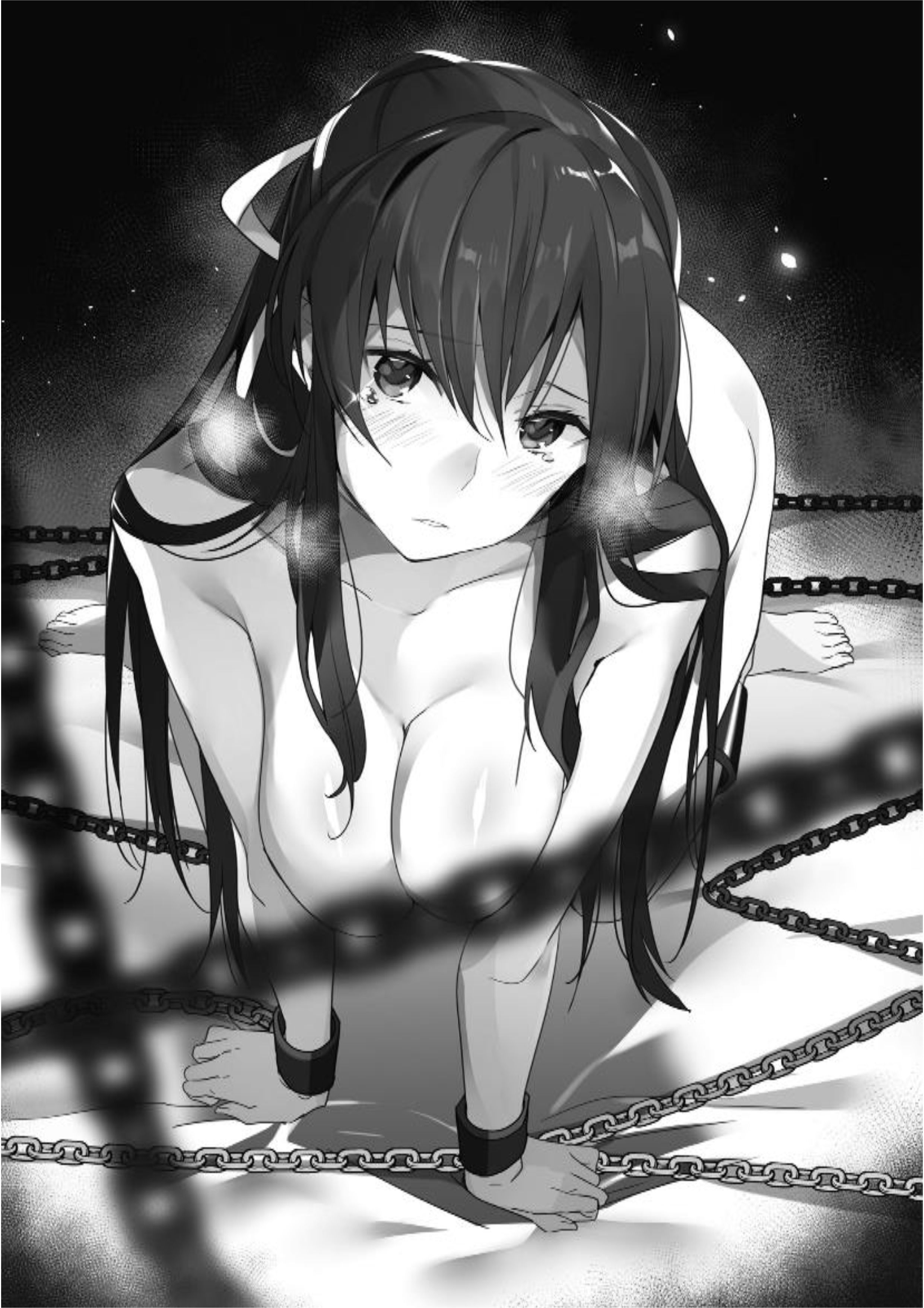 Ecstas Online V8 Illustration - Megumi Novel