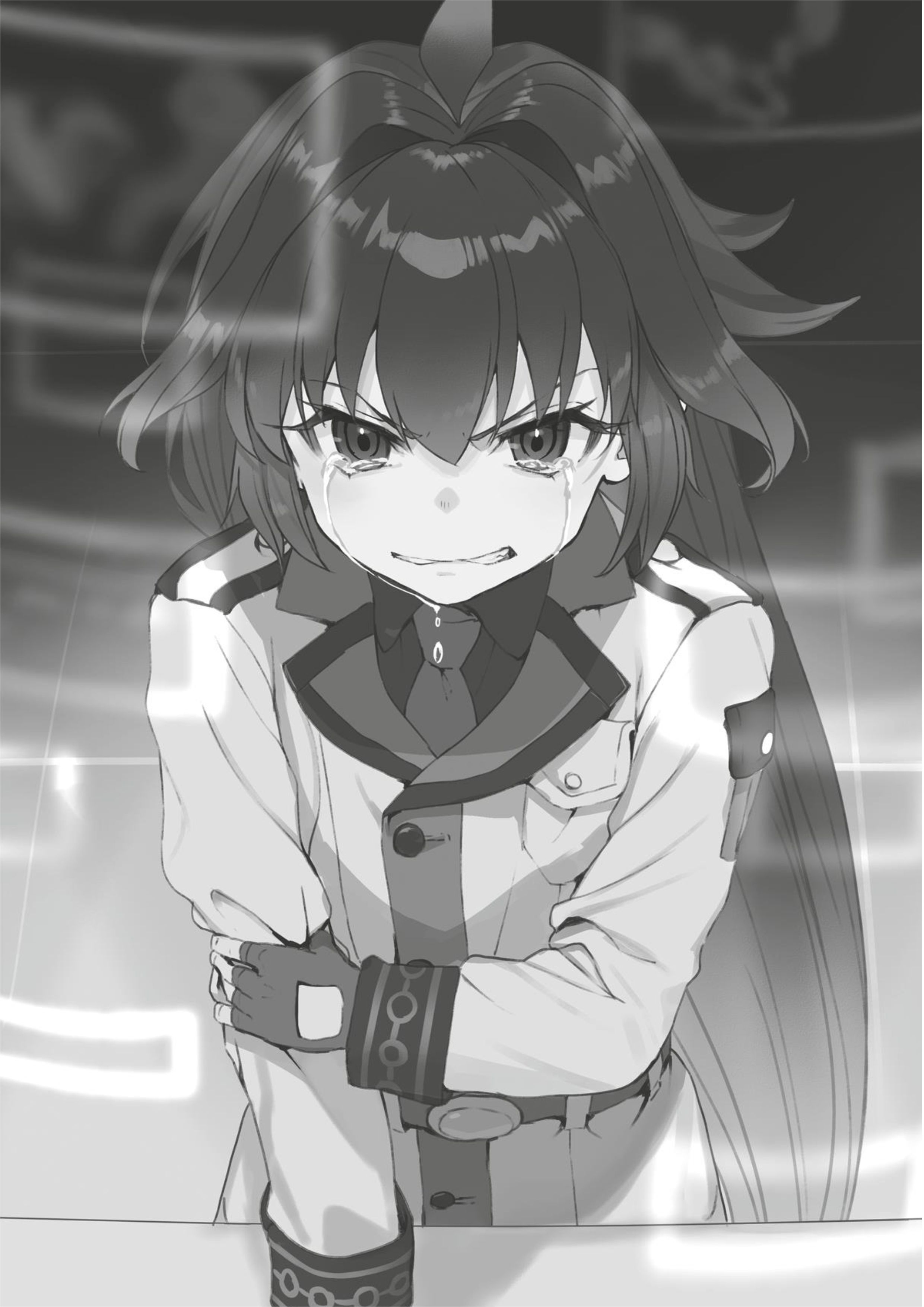 Eighty Six V8 Illustration - Megumi Novel