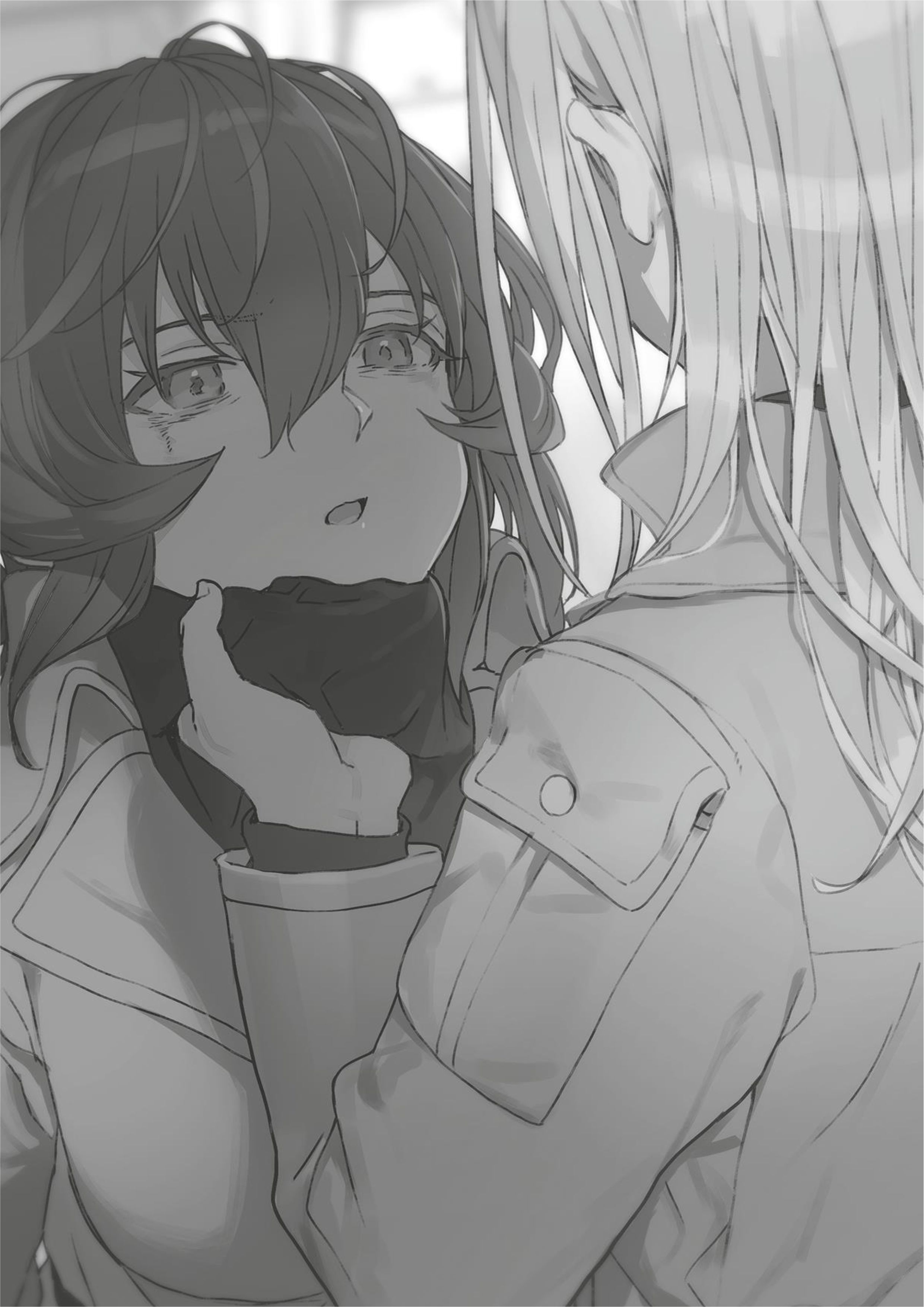 Eighty Six V9 Illustration - Megumi Novel