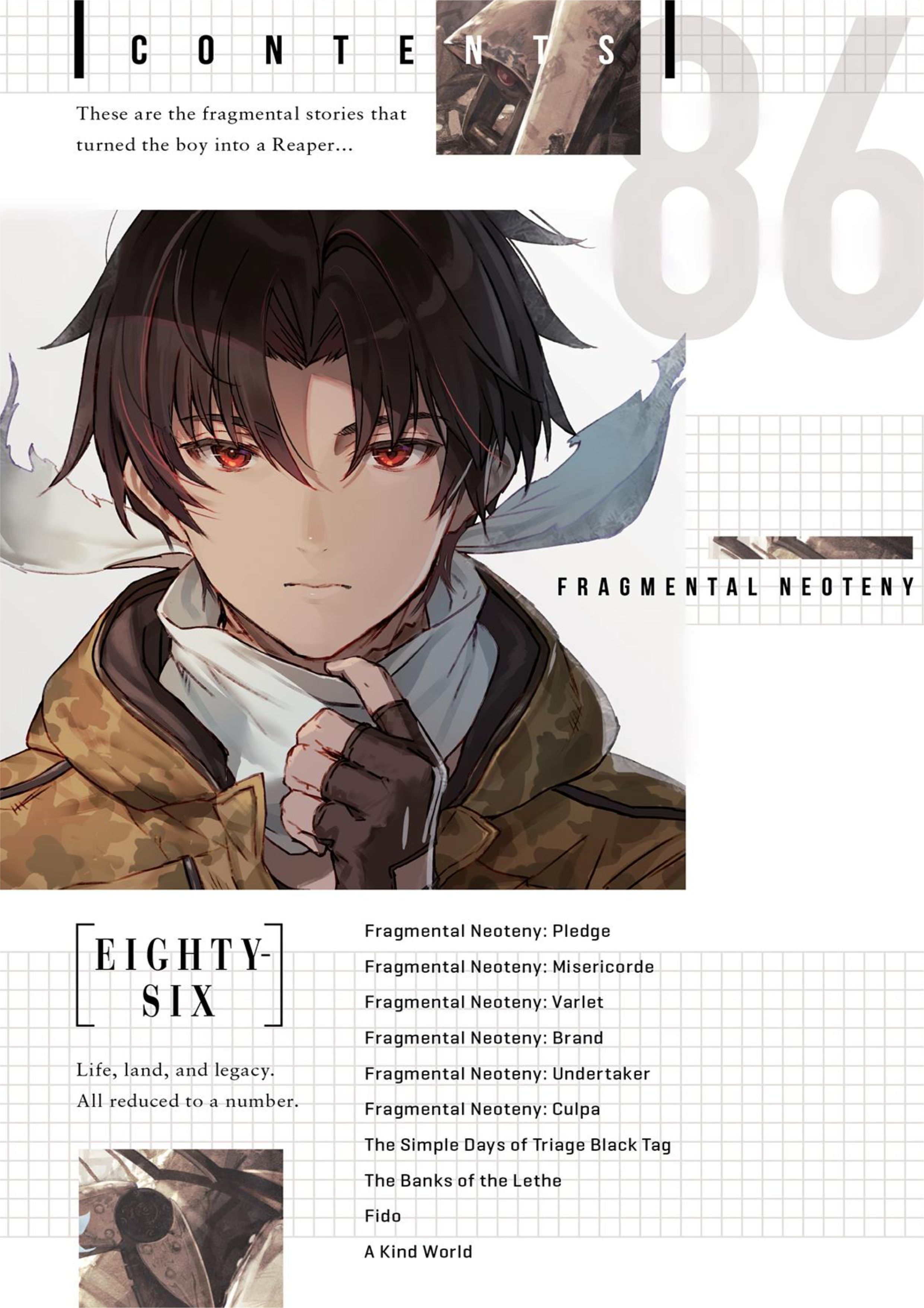 Eighty Six V10 Illustration - Megumi Novel