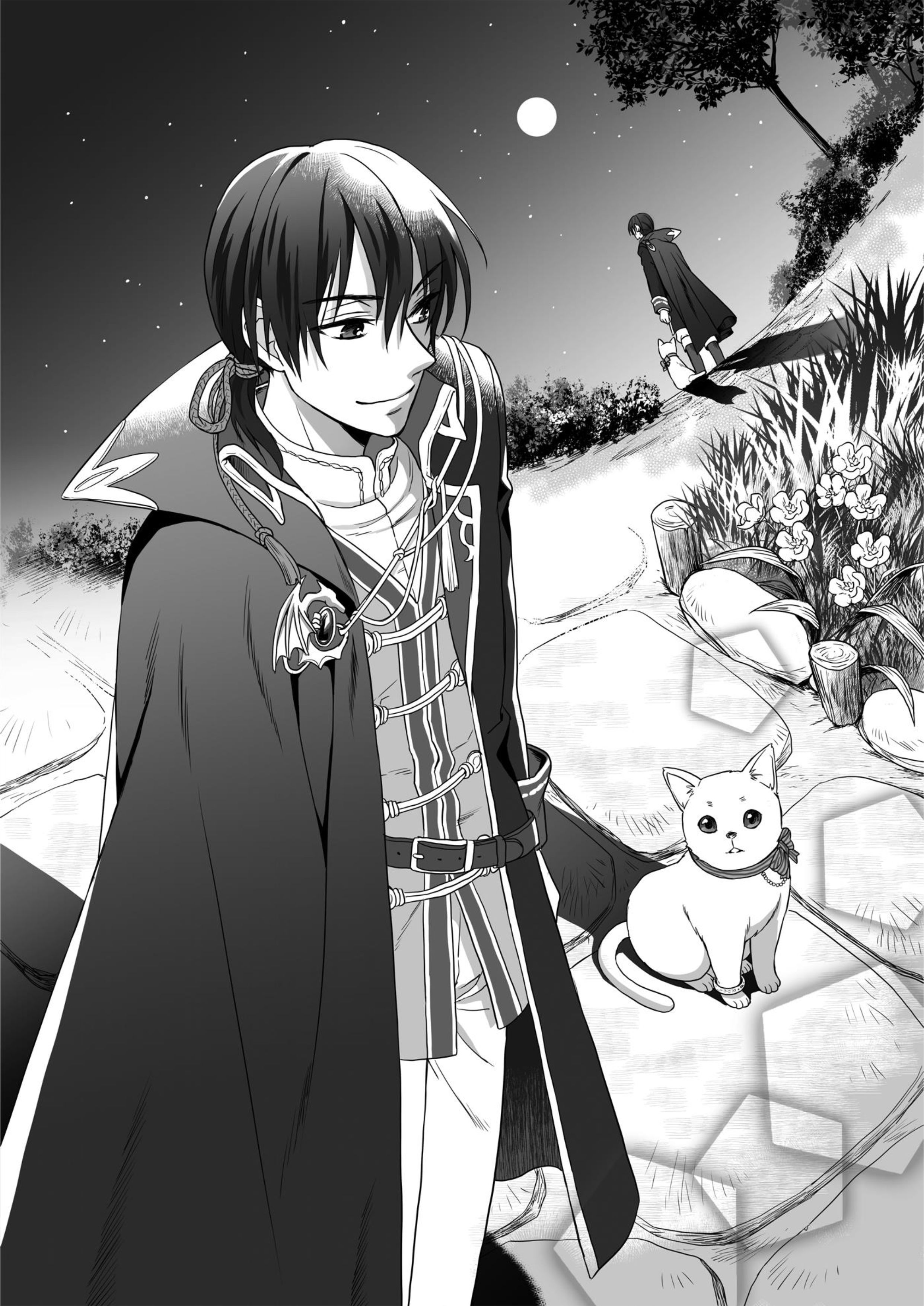 Fukushu wo Chikatta Shironeko wa Ryuuou no Hiza no Ue de Damin wo Musaboru V1 Illustration - Megumi Novel