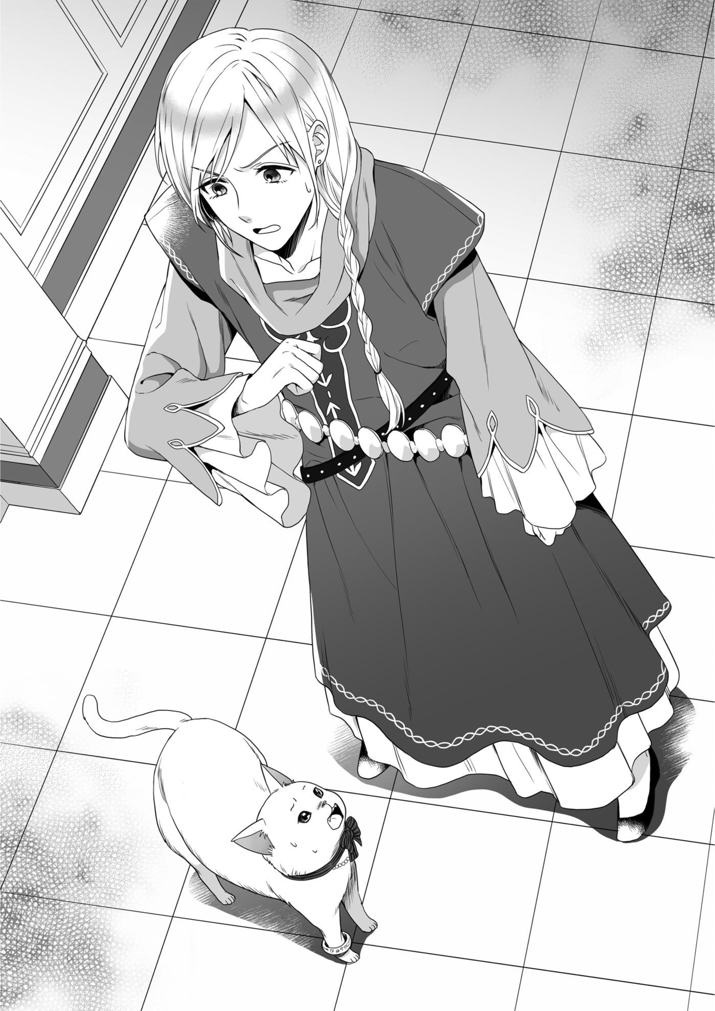 Fukushu wo Chikatta Shironeko wa Ryuuou no Hiza no Ue de Damin wo Musaboru V2 Illustration - Megumi Novel