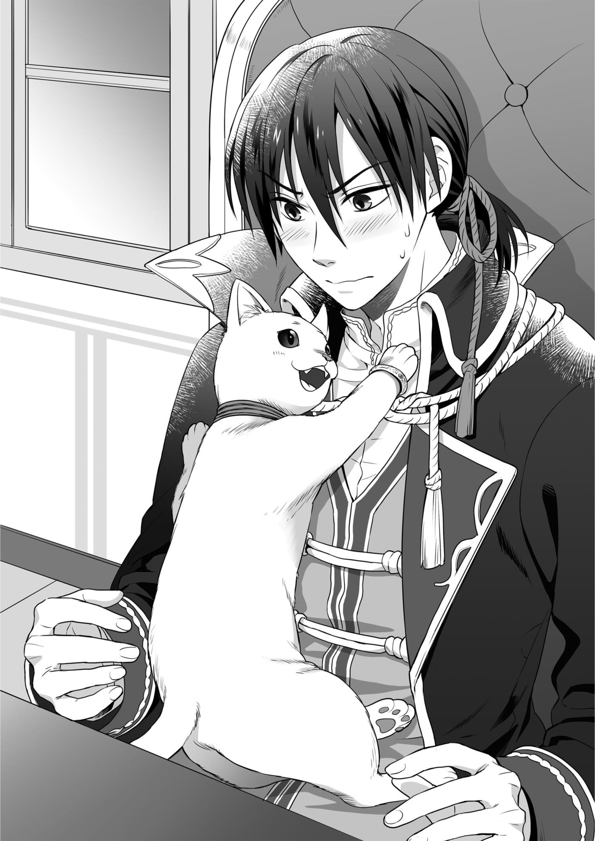 Fukushu wo Chikatta Shironeko wa Ryuuou no Hiza no Ue de Damin wo Musaboru V3 Illustration - Megumi Novel