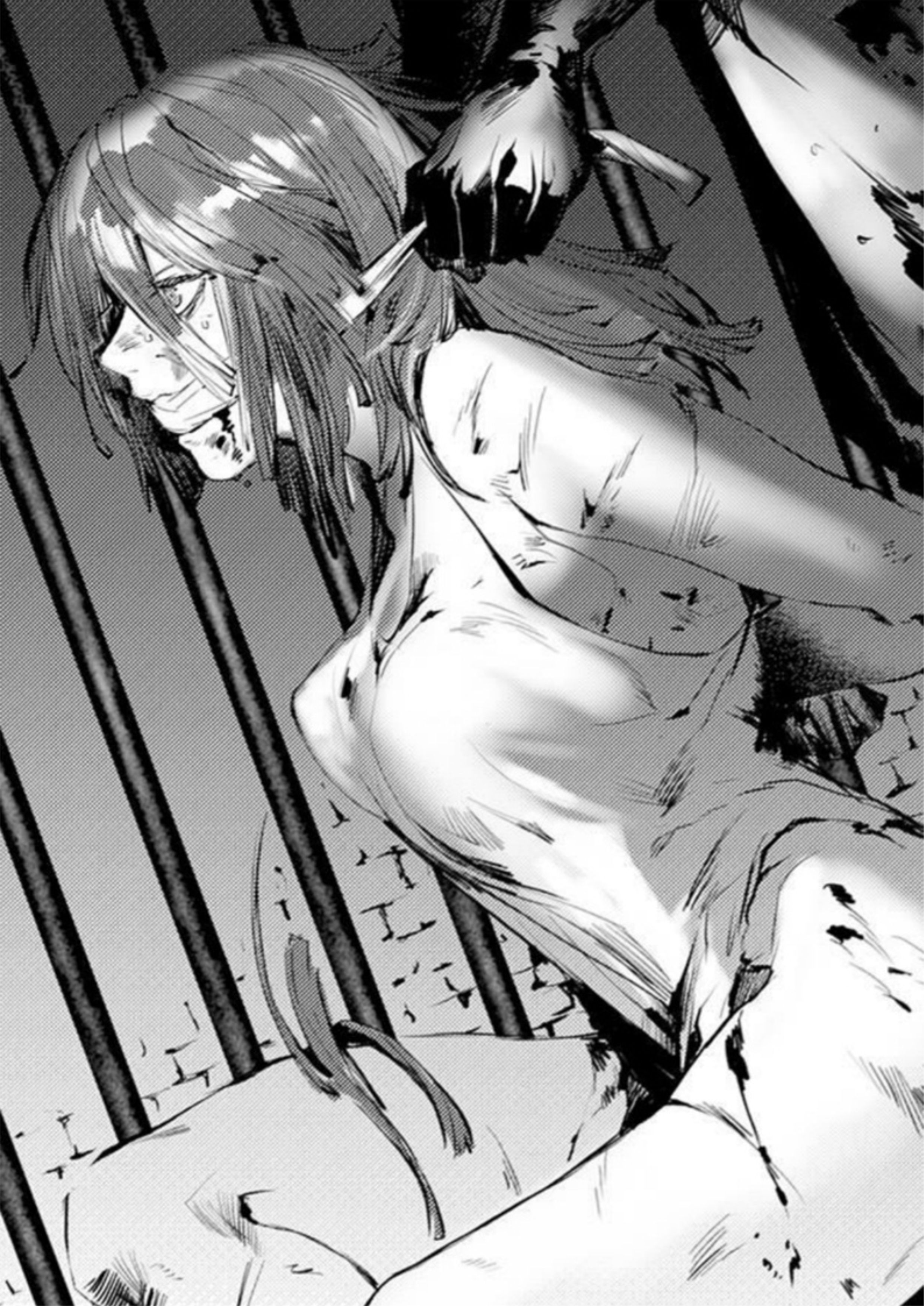 Fukushuu o Koinegau Saikyou Yuusha wa V1 Illustration - Megumi Novel